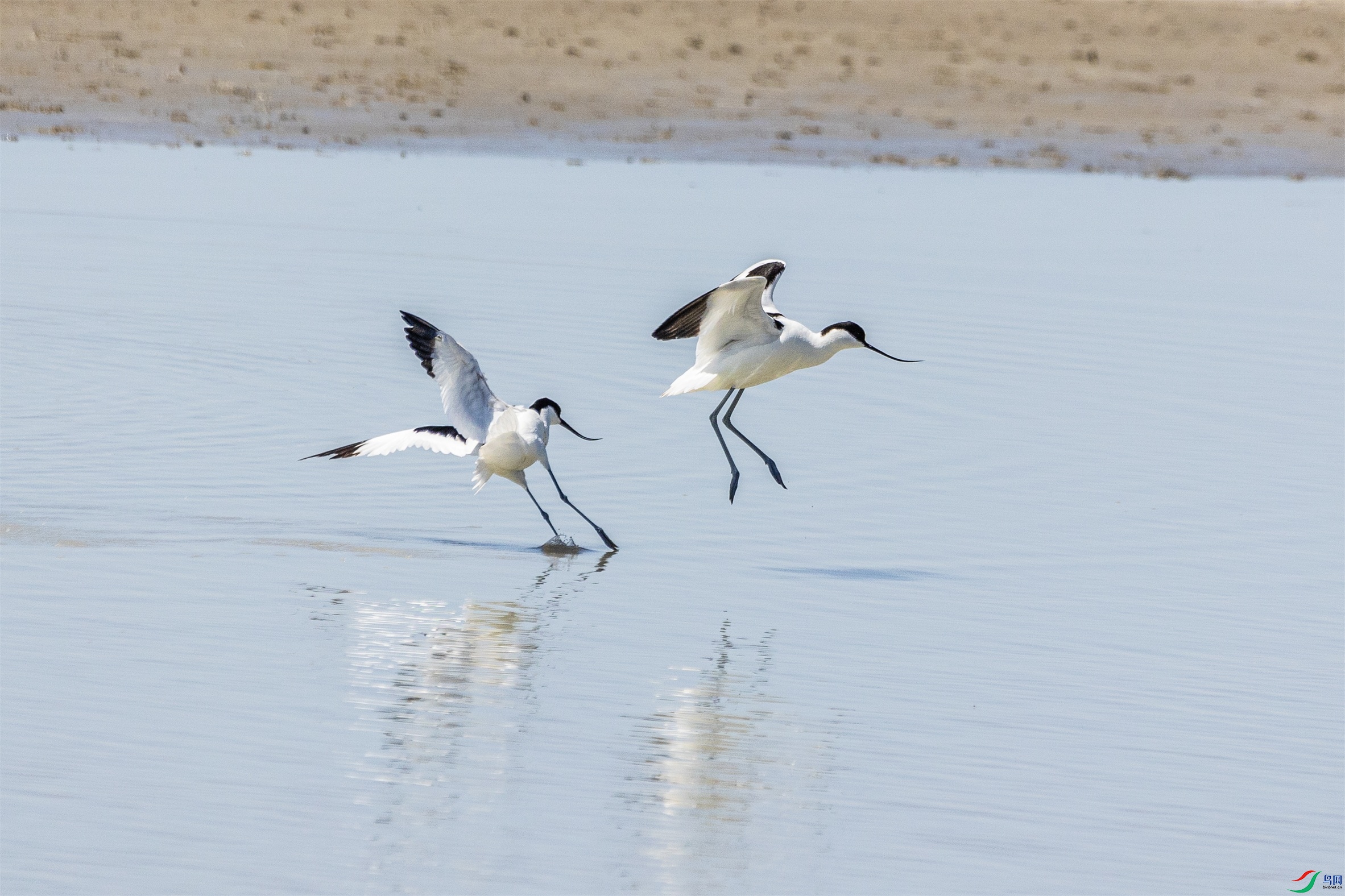 1K3A9926 ����1.jpg