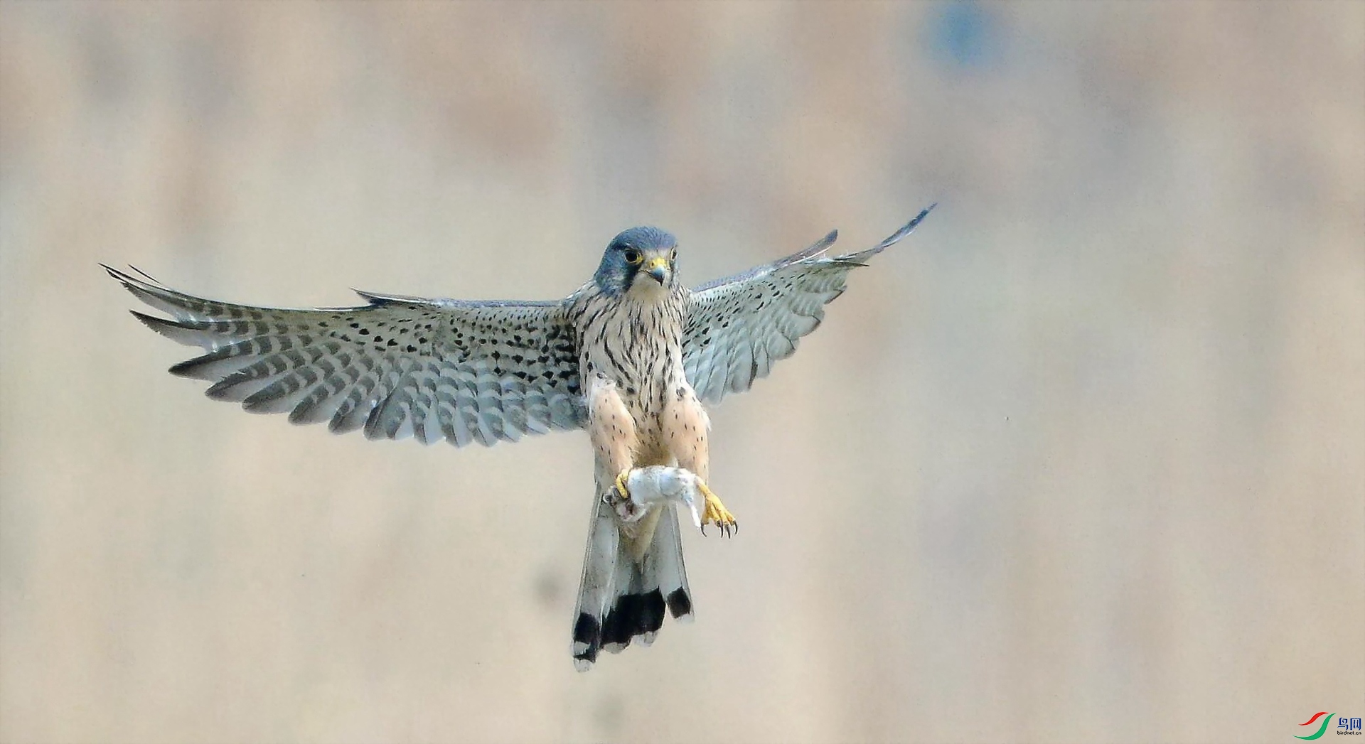 1 1058_����.jpg