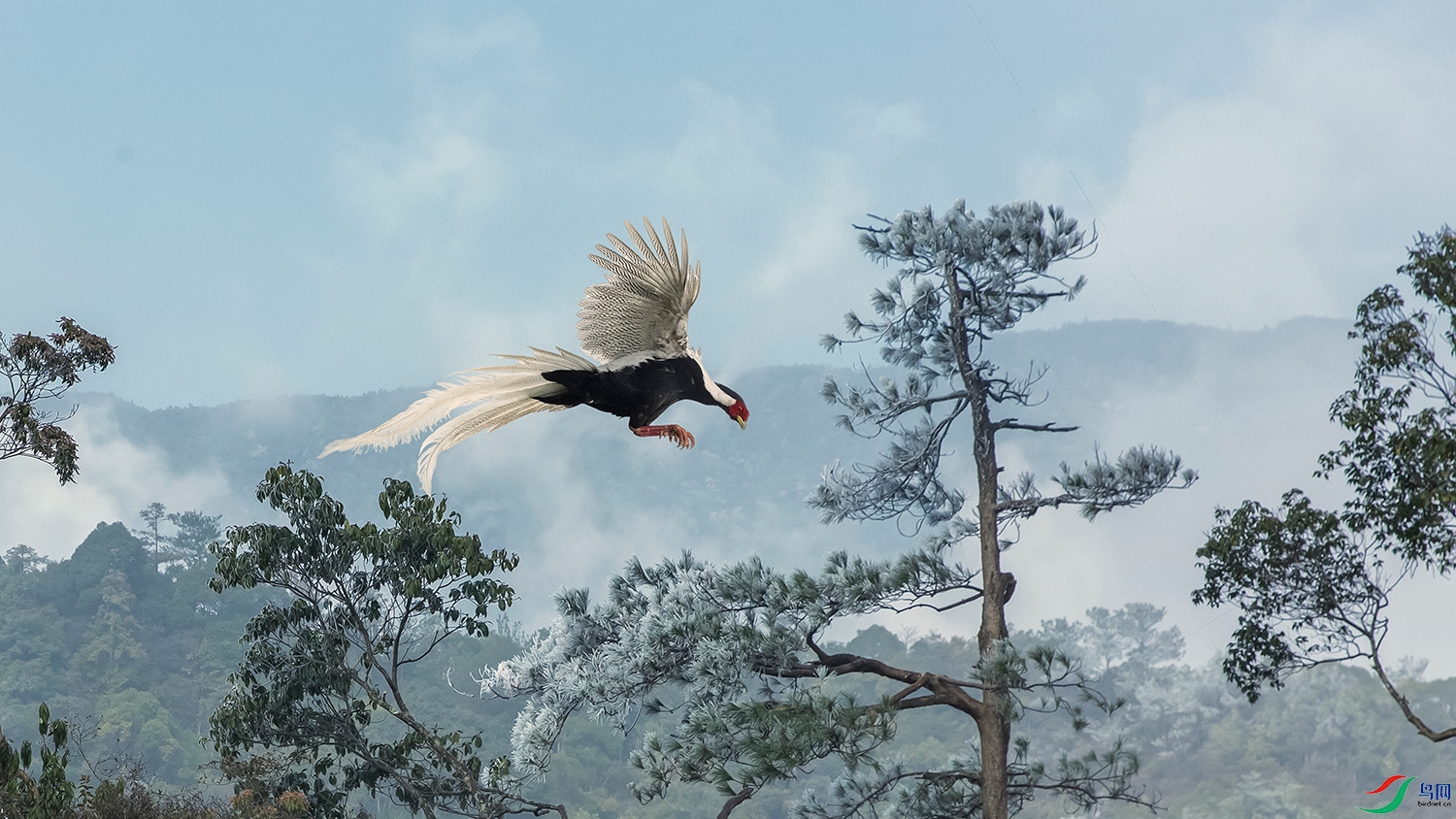 ����----�׷�չ��������