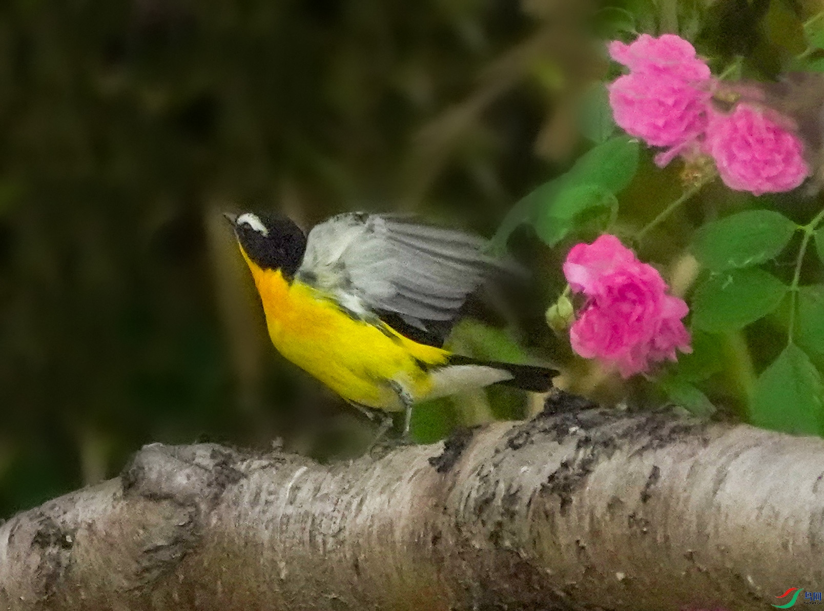 DSC03807.JPG
