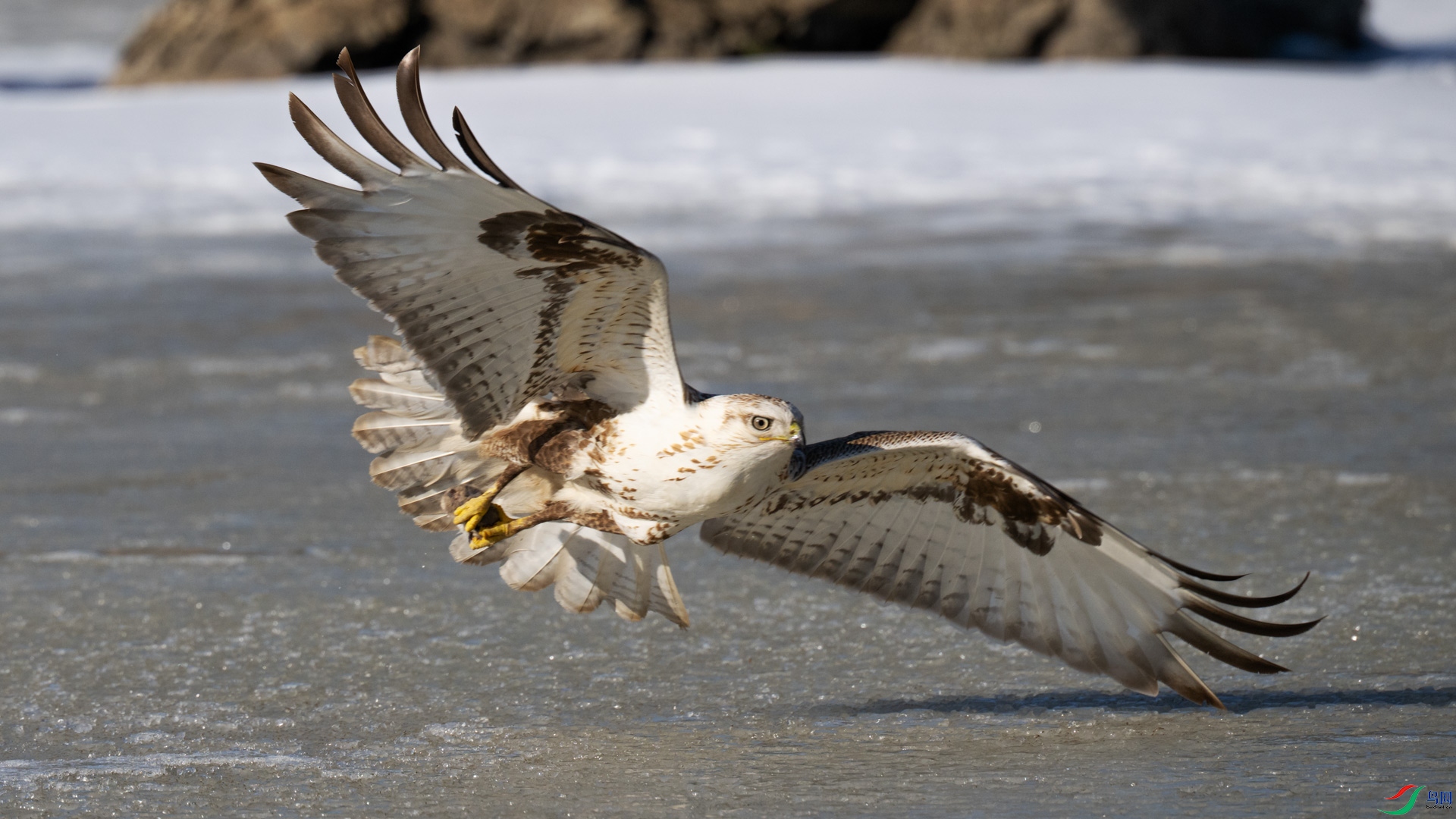 _DSC5473-1x4.jpg
