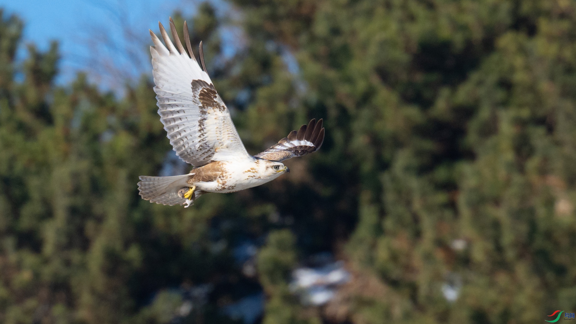 _DSC5517-1x5.jpg