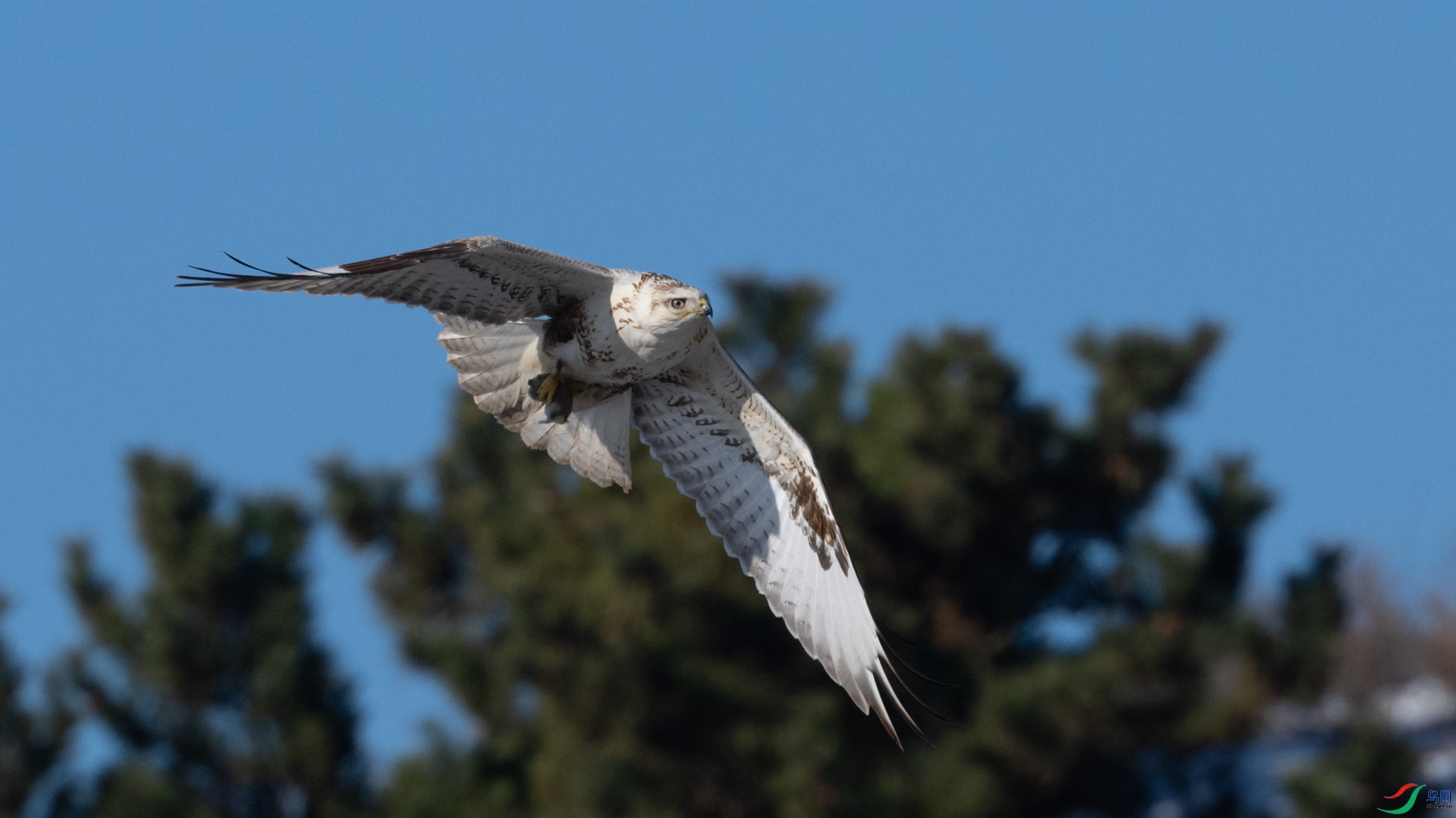 _DSC5490-1x9.jpg