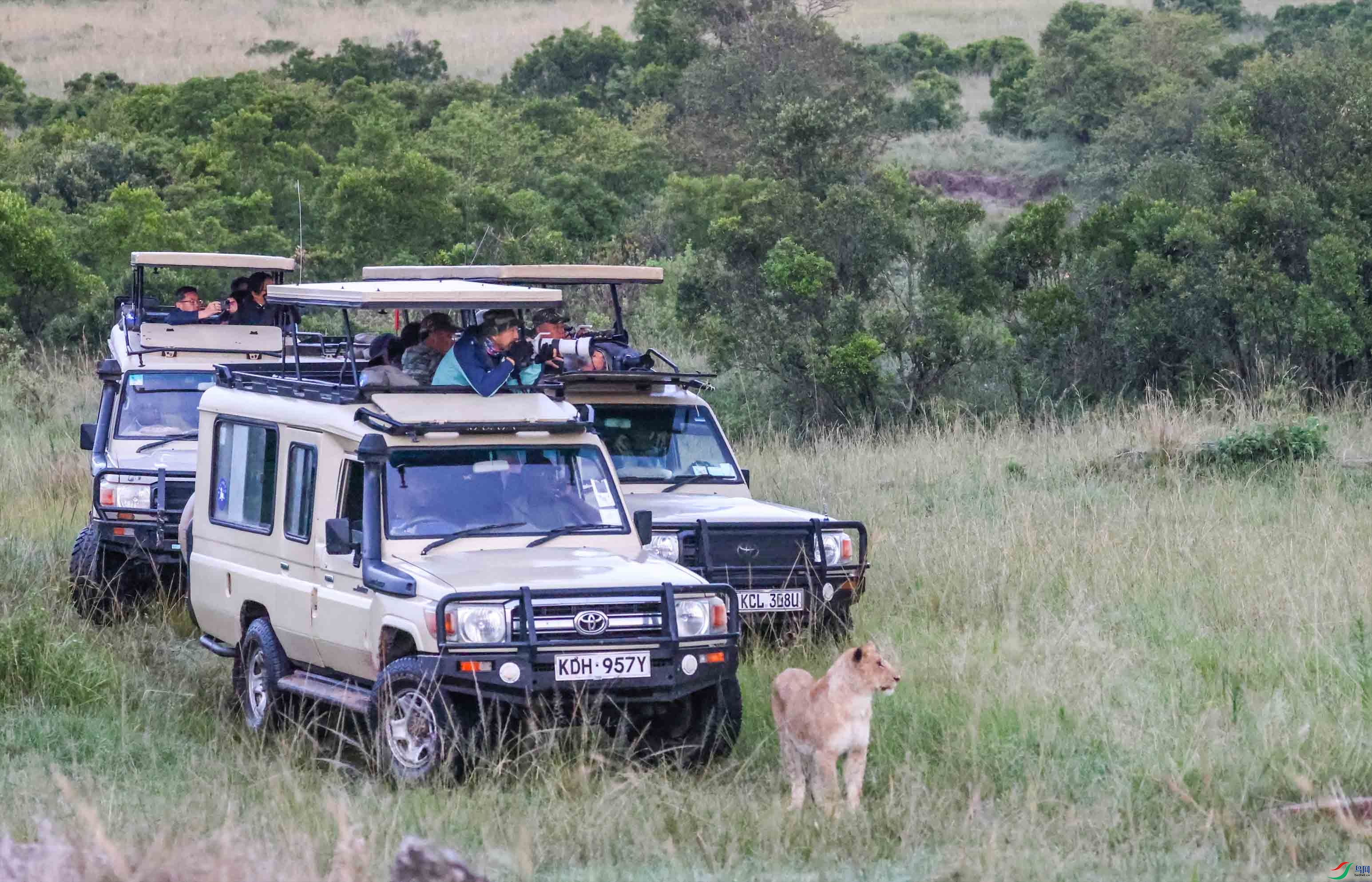 ���Ҳ���ʣ�2023�������ڿ����ǣ� ����.jpg