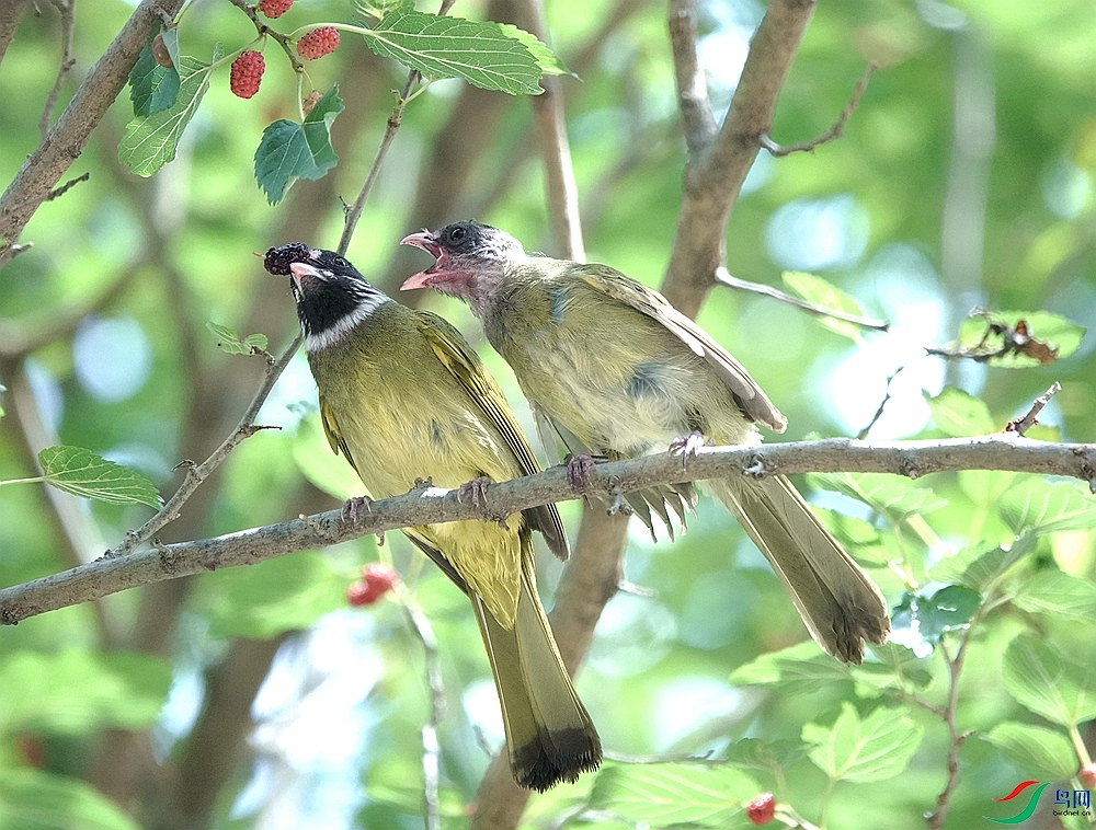 DSC00693 (2)_����.jpg