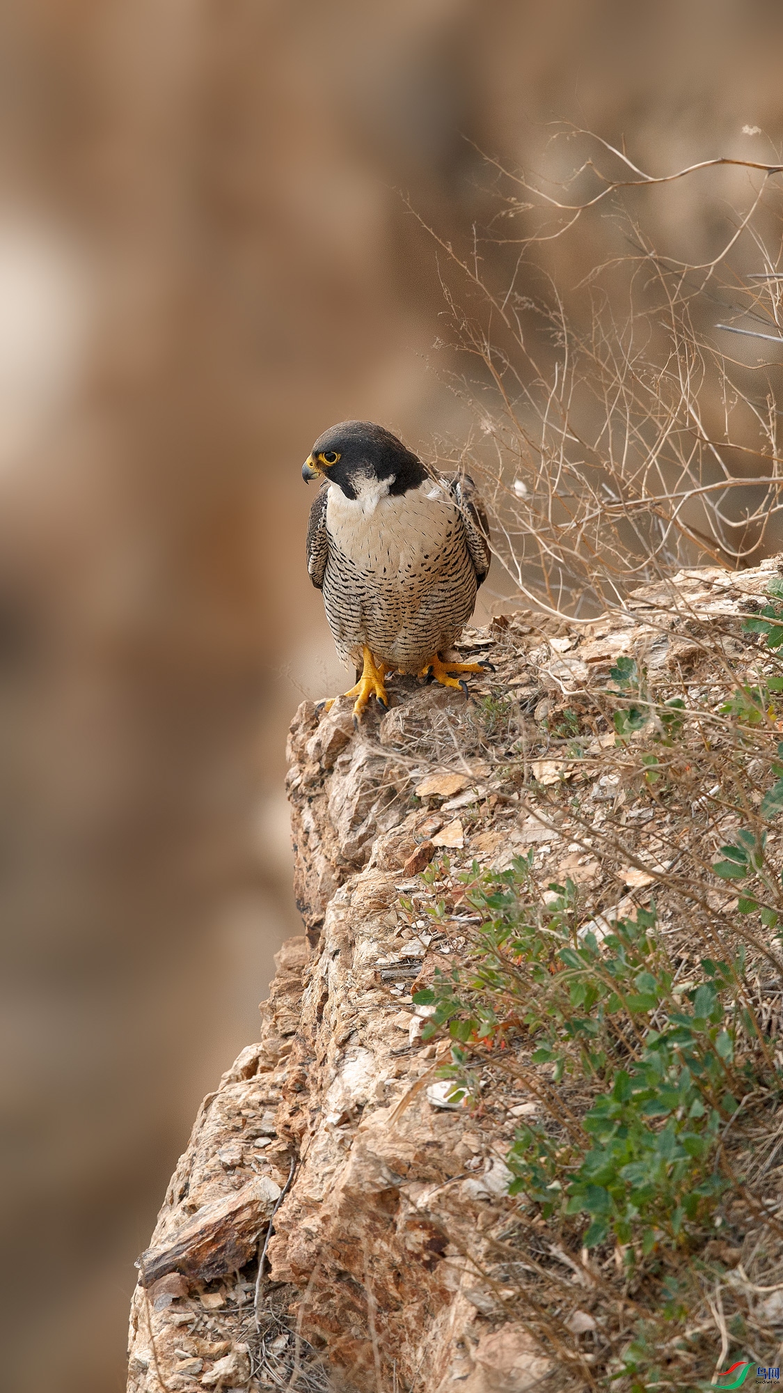 AQ9I8582 ����.jpg