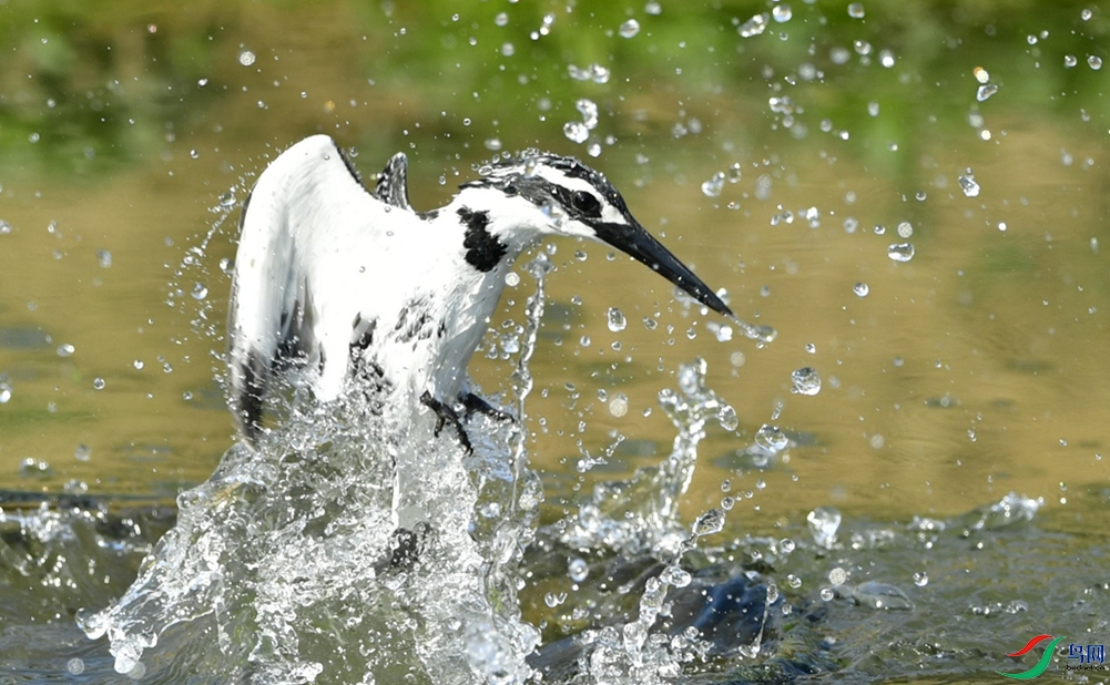 δ��ʤ����