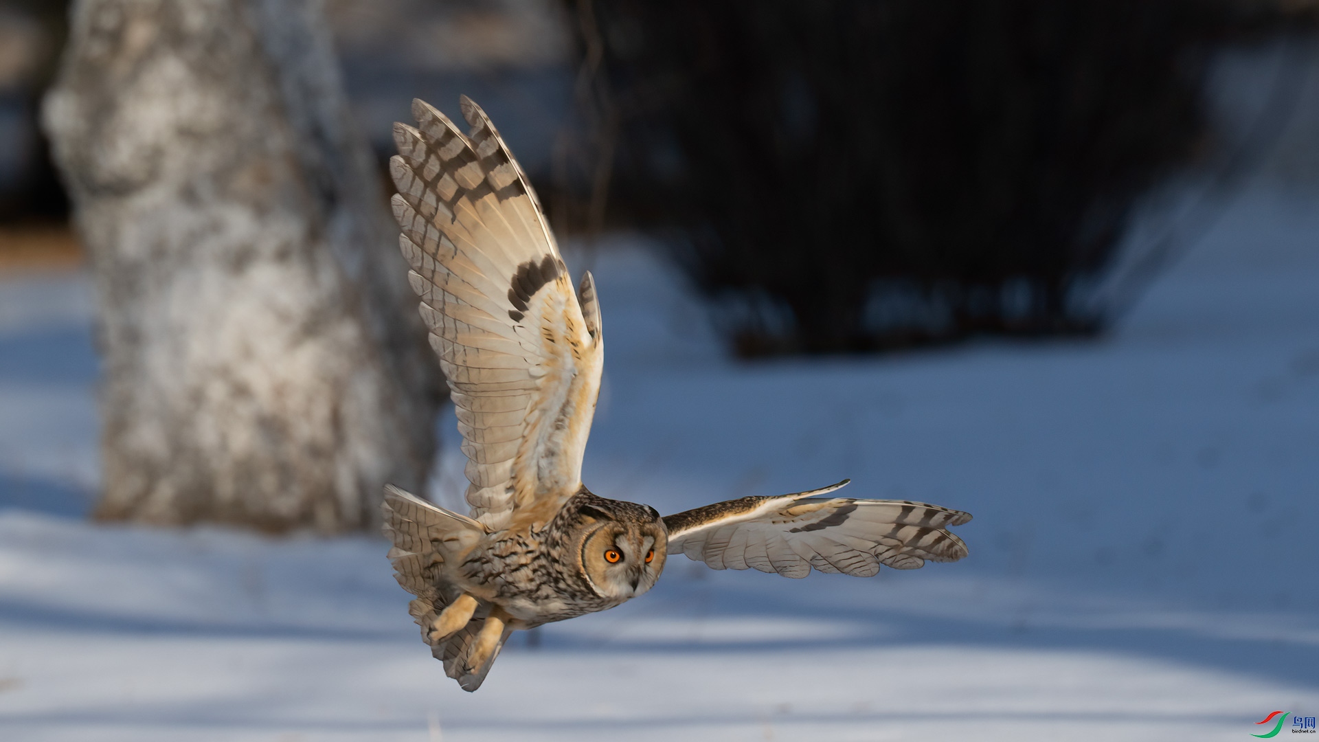 _DSC5013-1x2.jpg