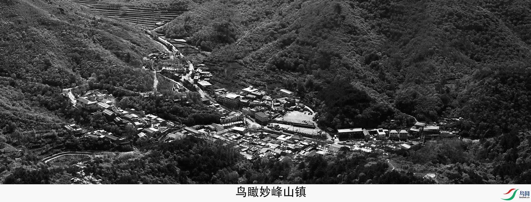DSC01283a.jpg