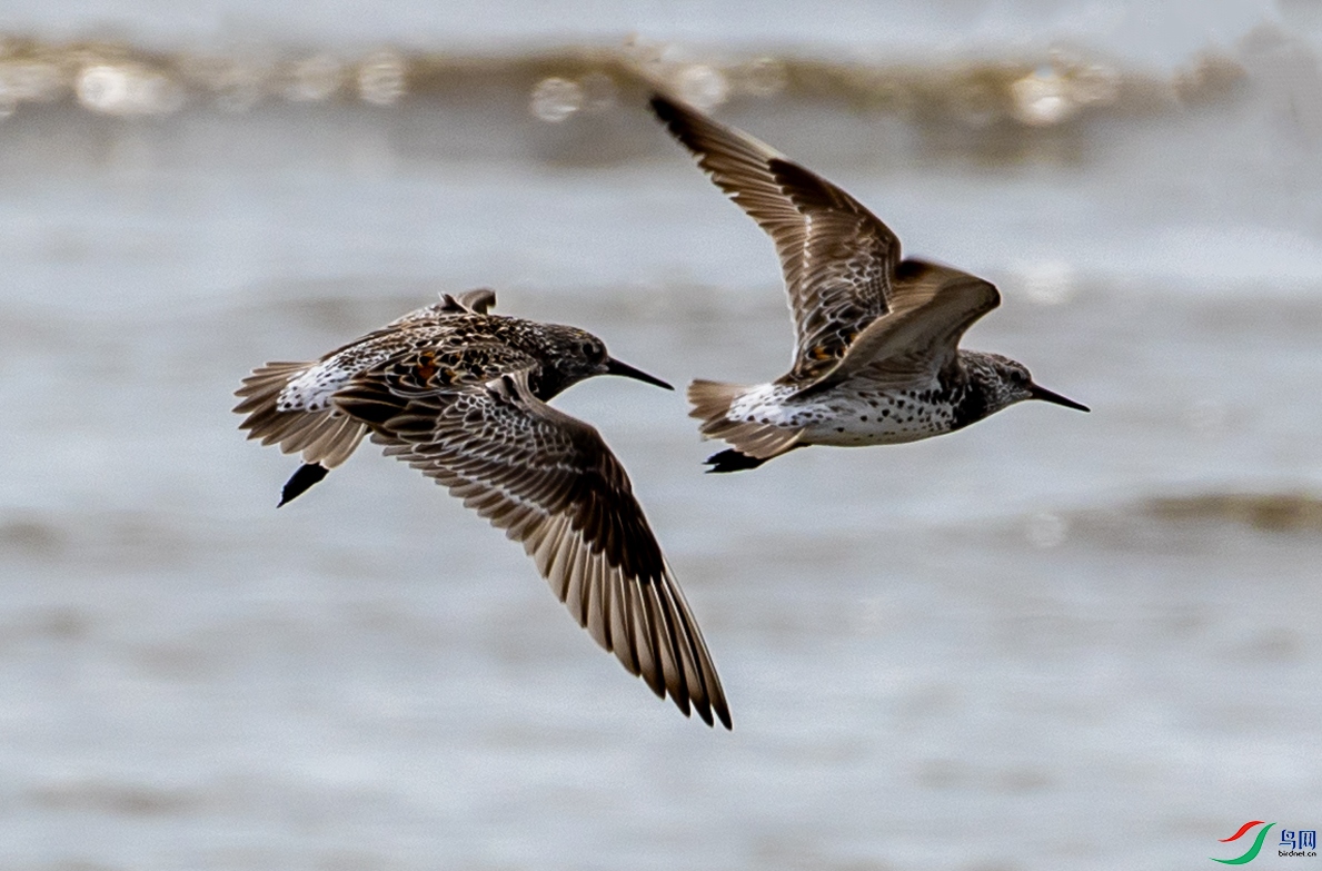 �����628 ����.jpg