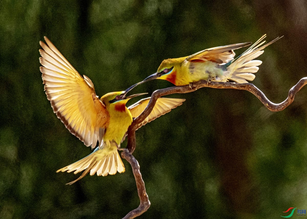 DSC_7482.jpg