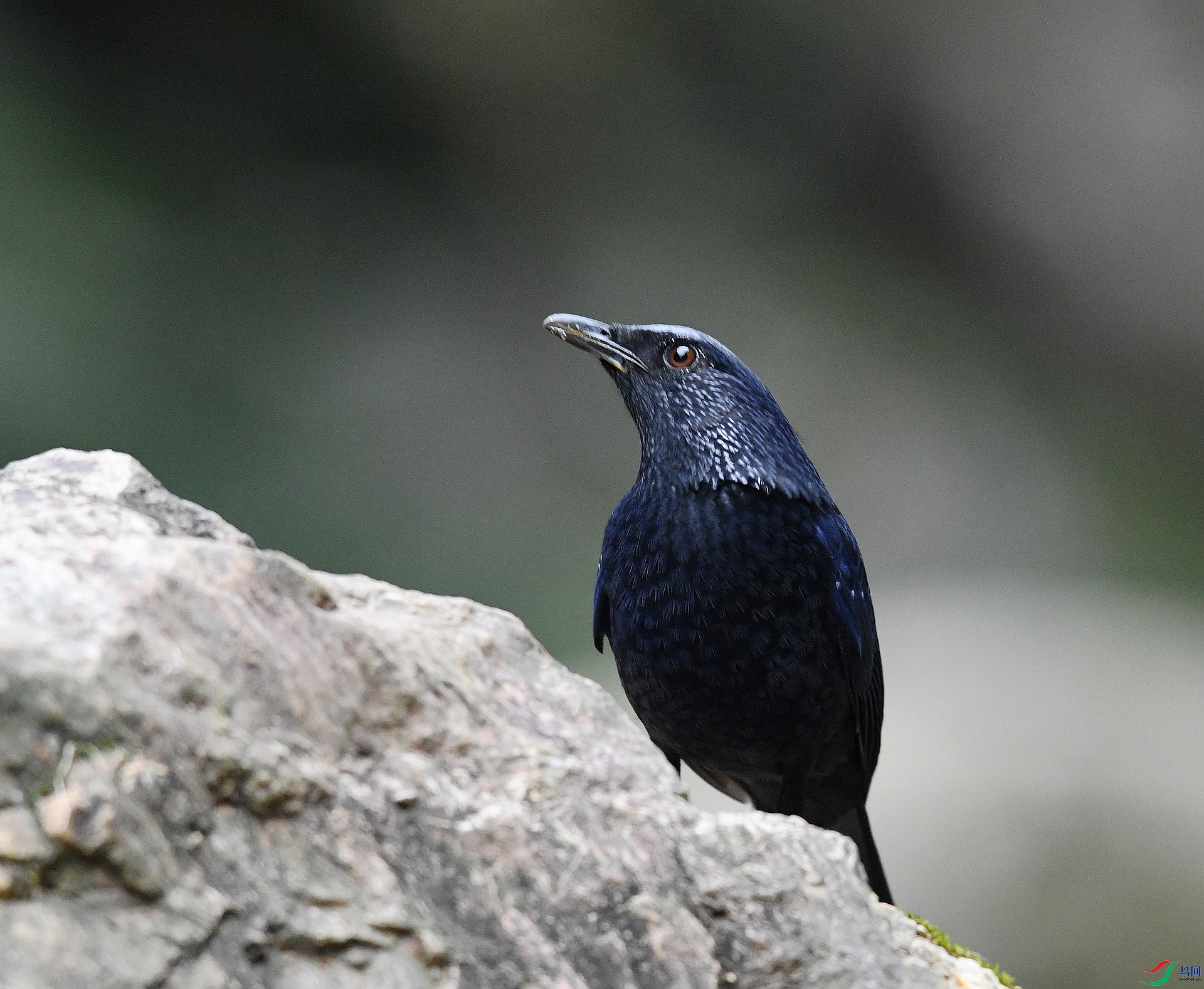 DSC_9814.jpg