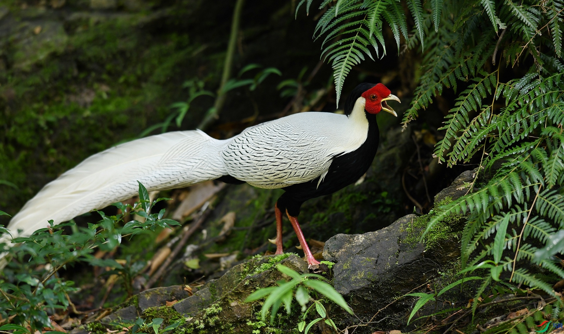 DSC_7775.jpg