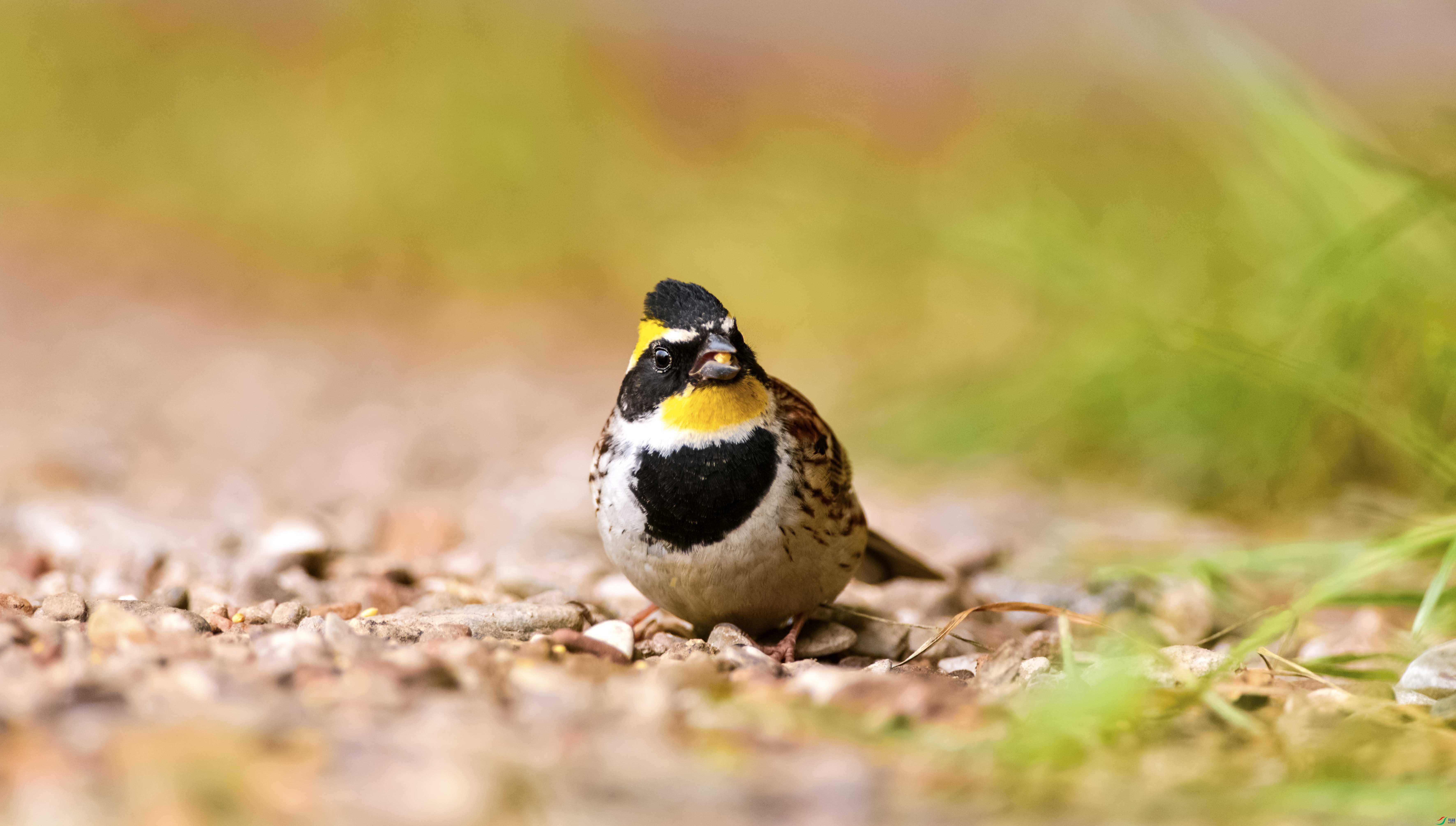 DSC_6240.jpg