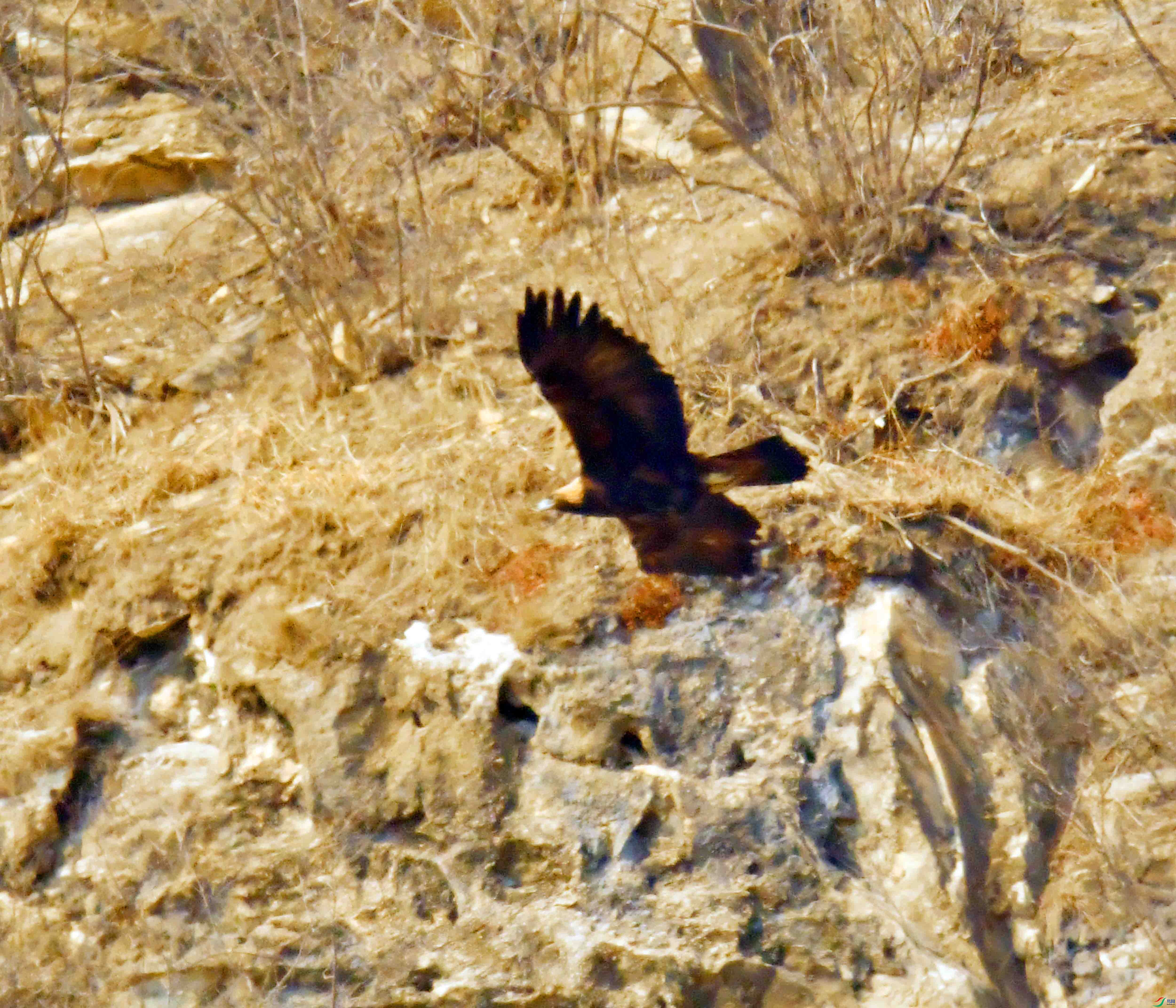DSC_8540.JPG