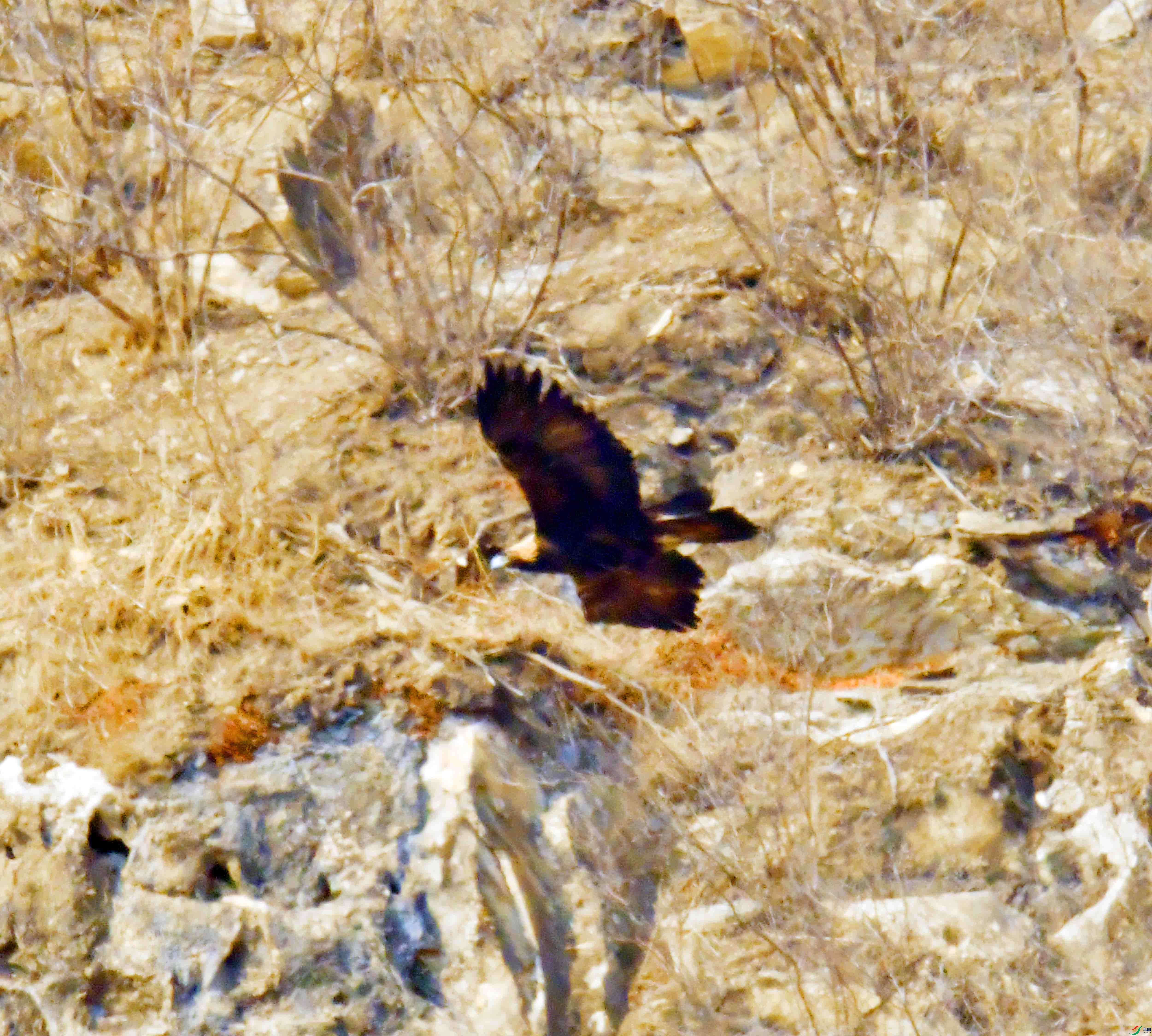 DSC_8539.JPG