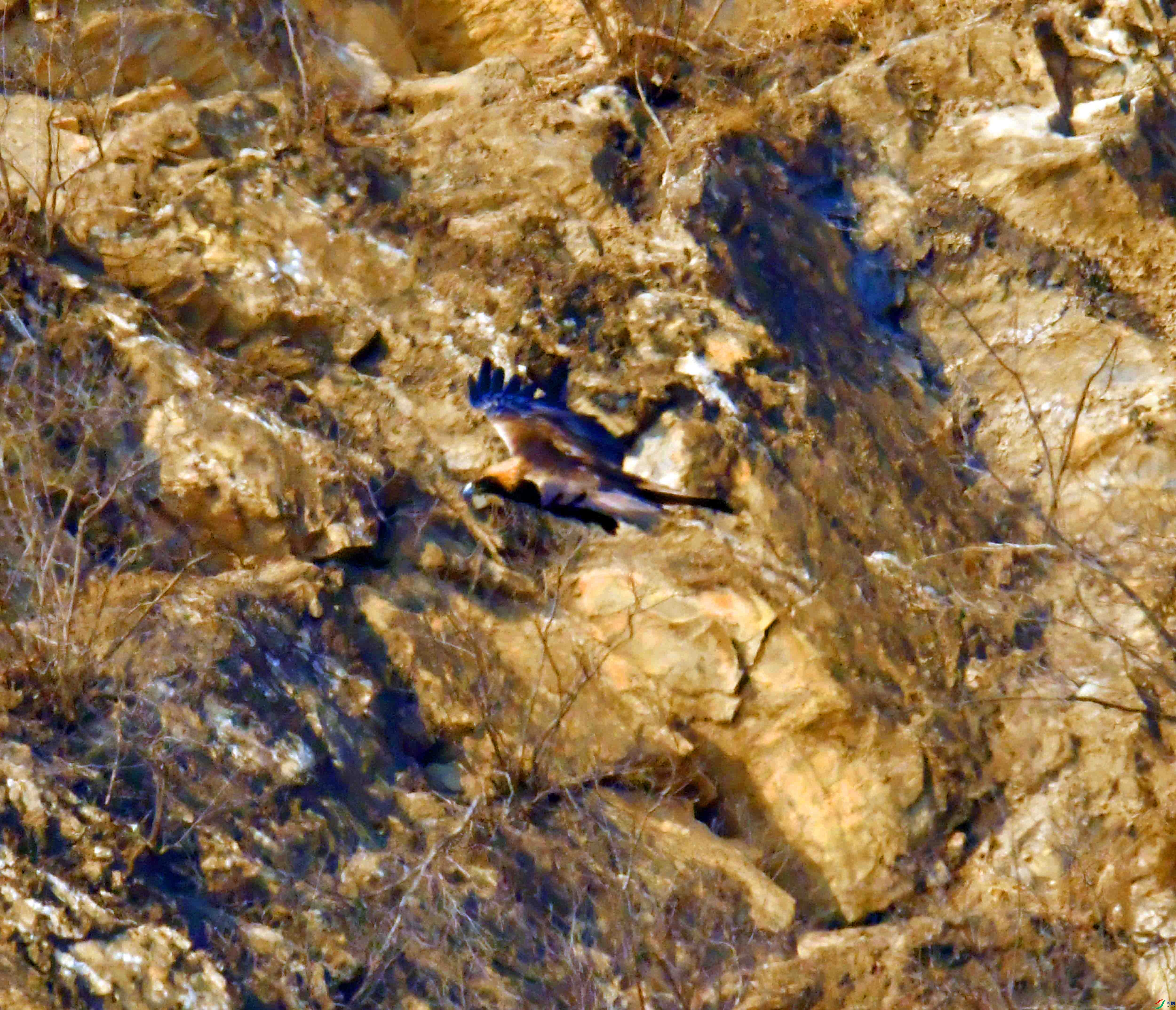 DSC_8545.JPG