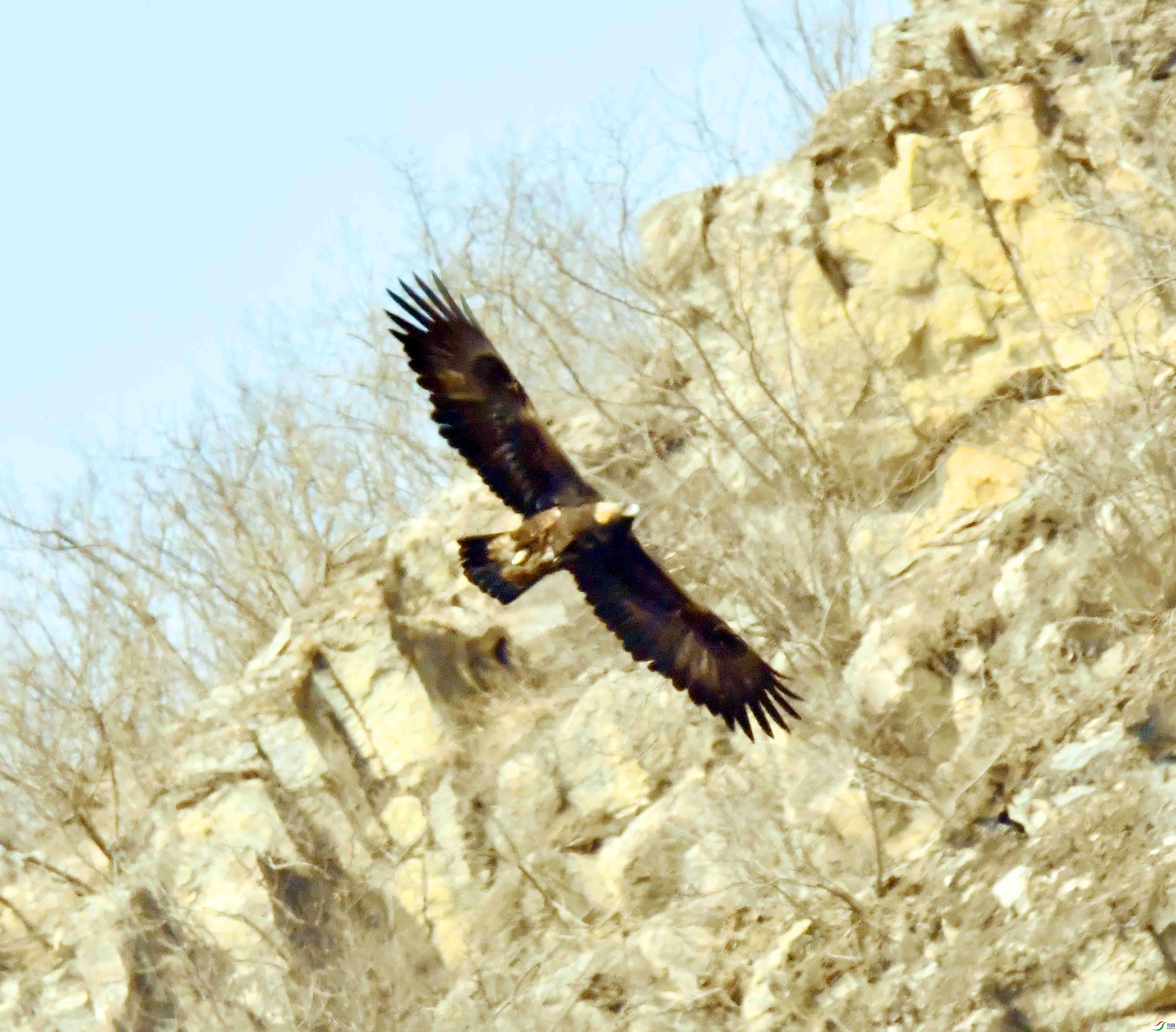 DSC_8554.JPG