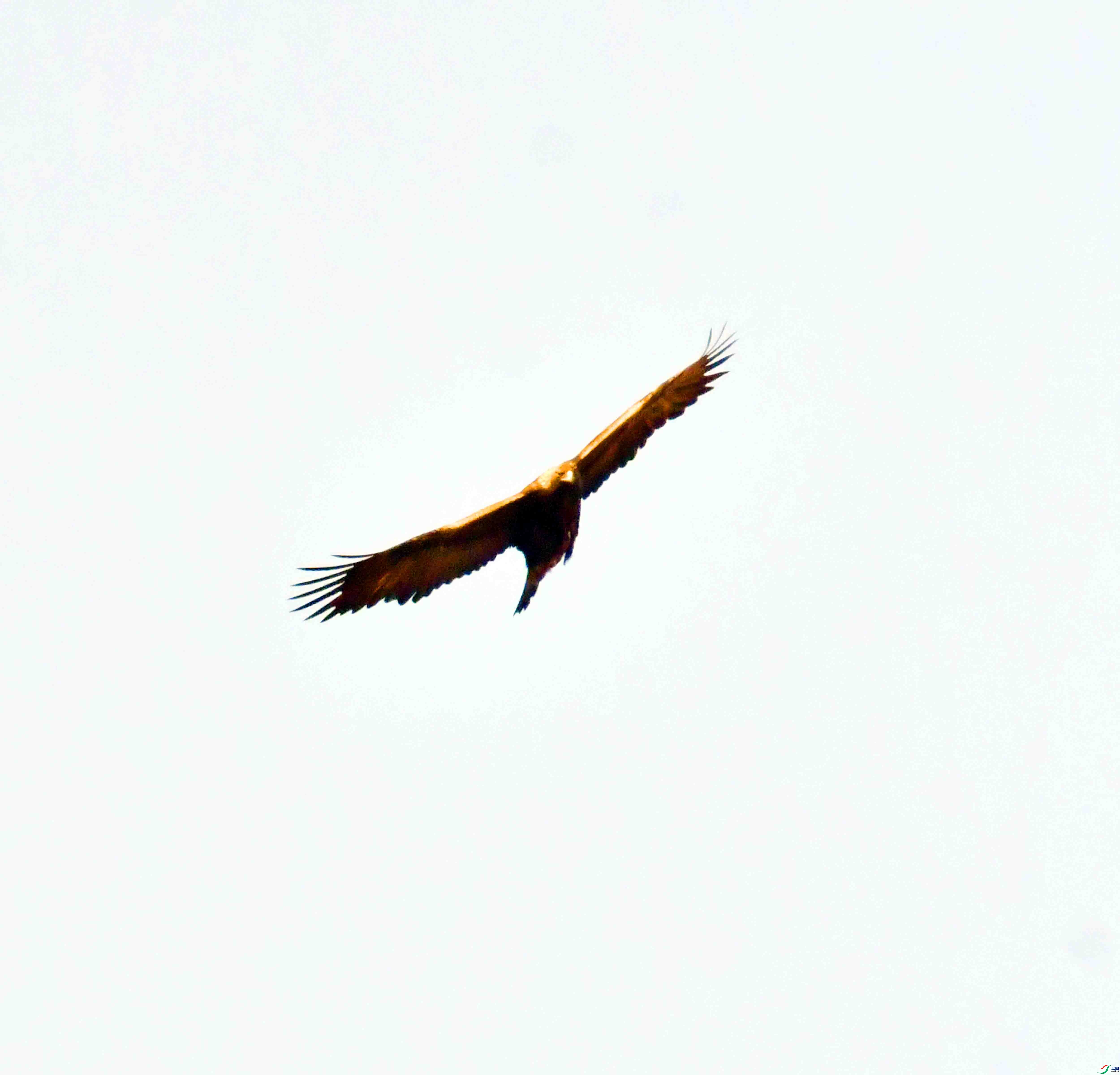 DSC_8583.JPG
