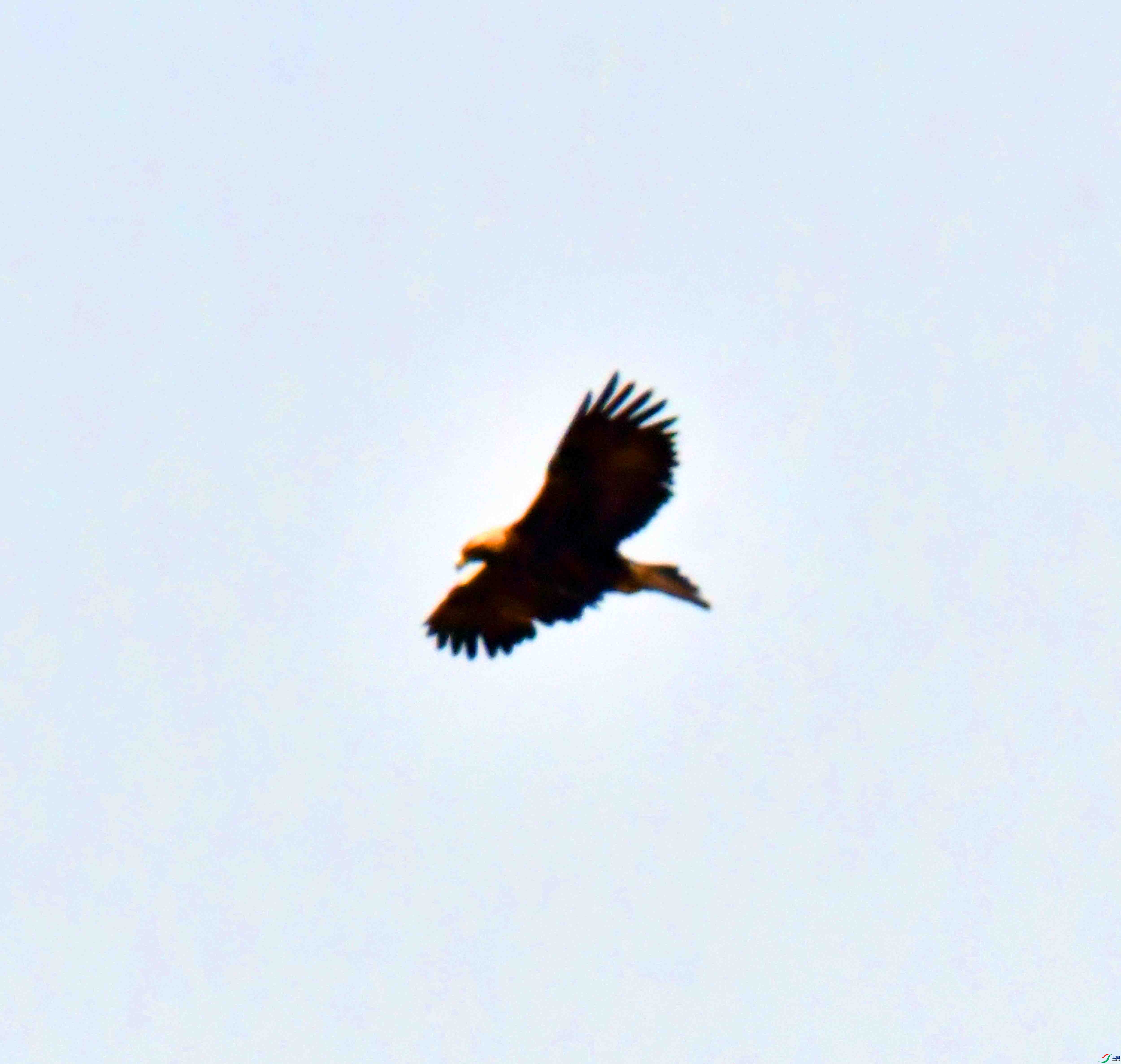 DSC_8601.JPG
