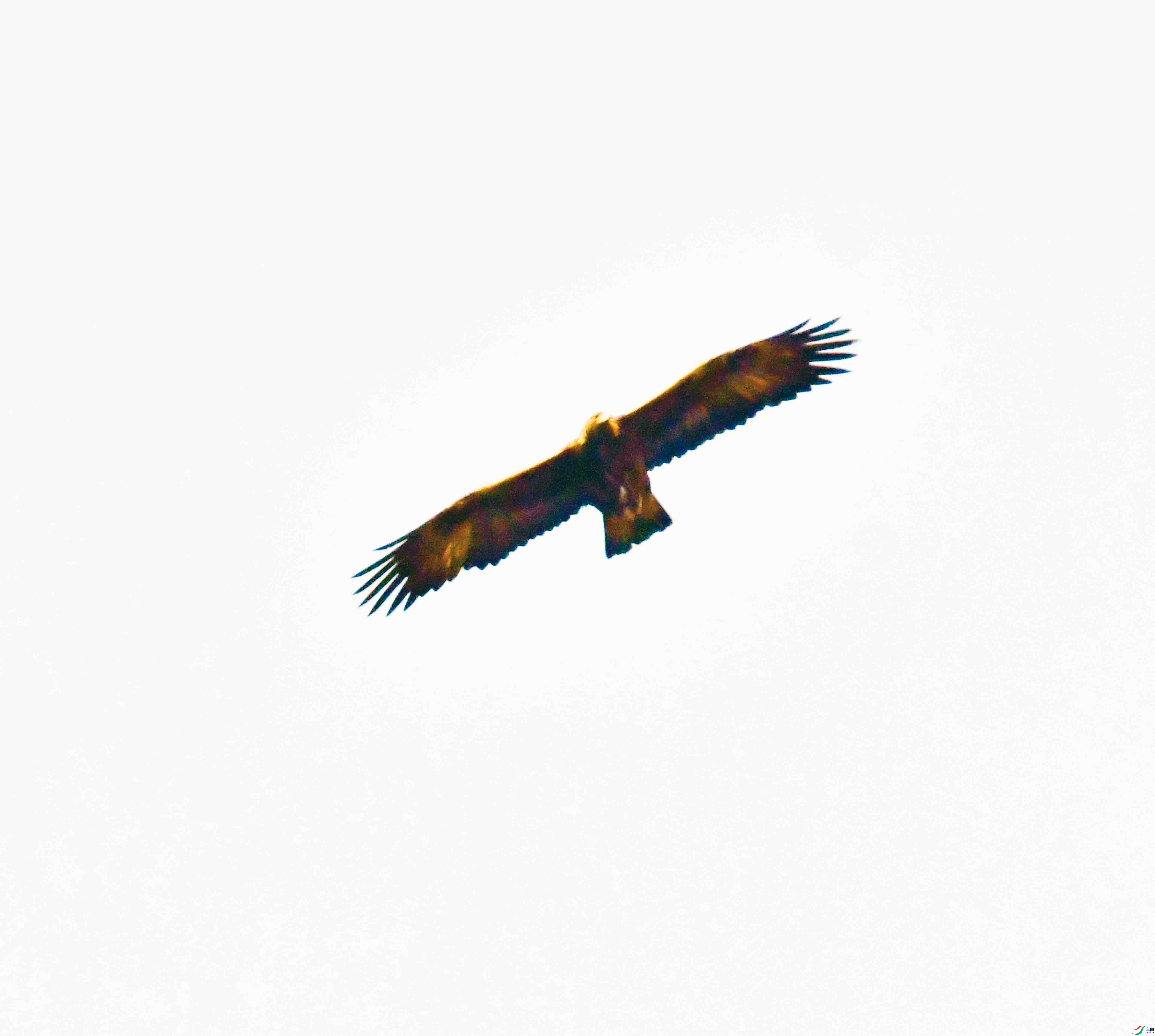 DSC_8586.JPG