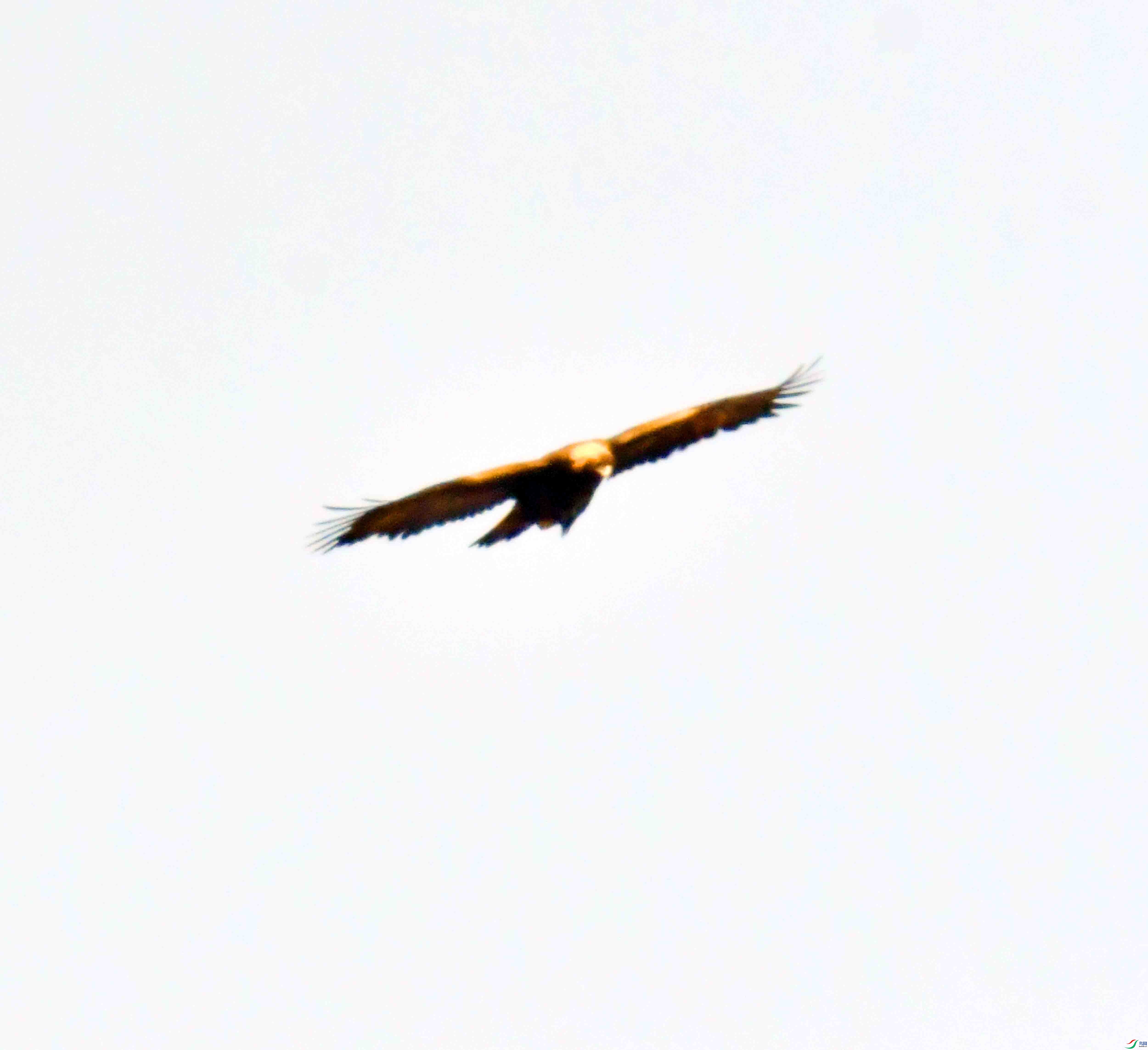 DSC_8604.JPG