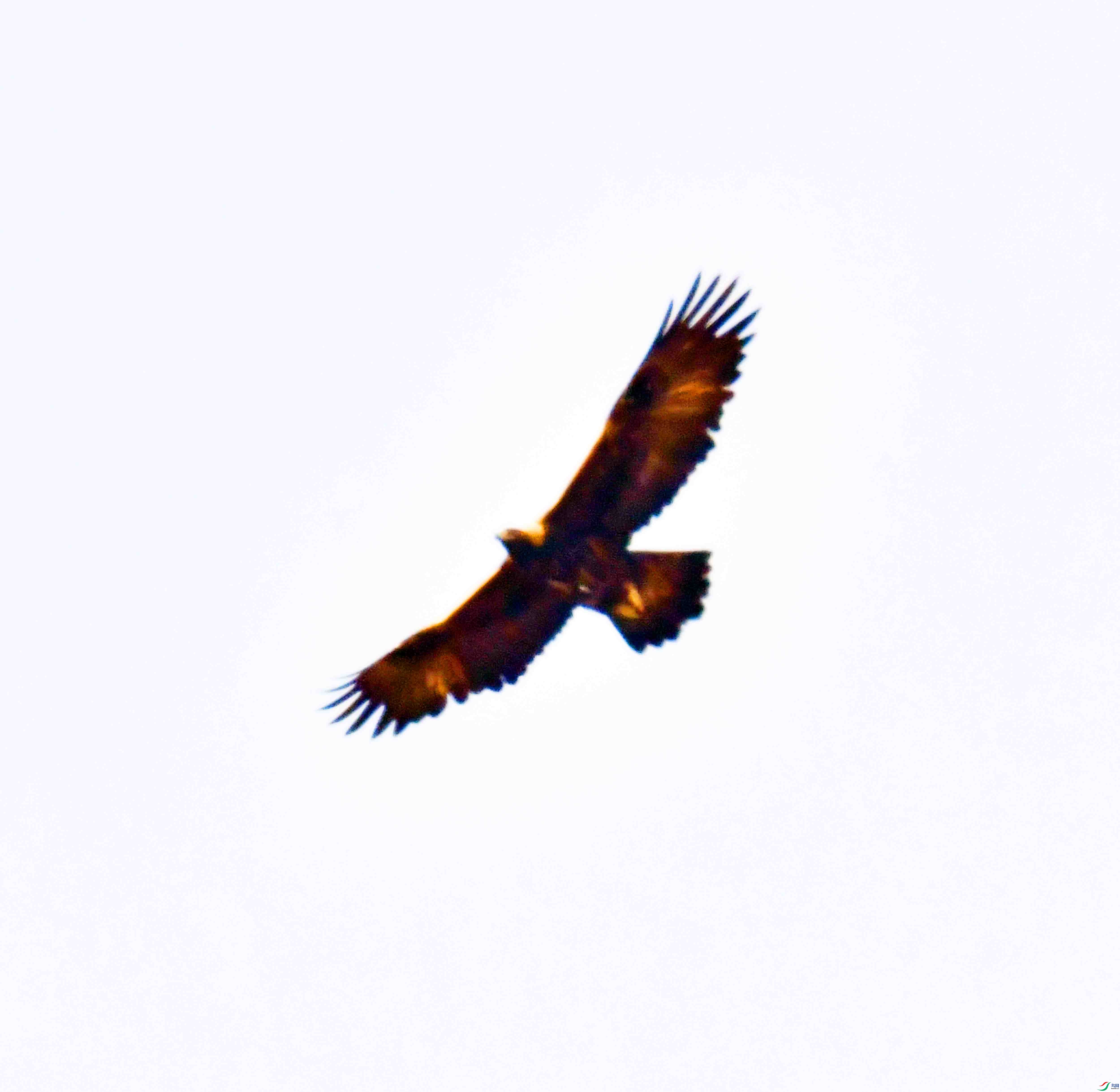 DSC_8608.JPG