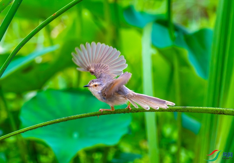 DSC_4296_����.jpg