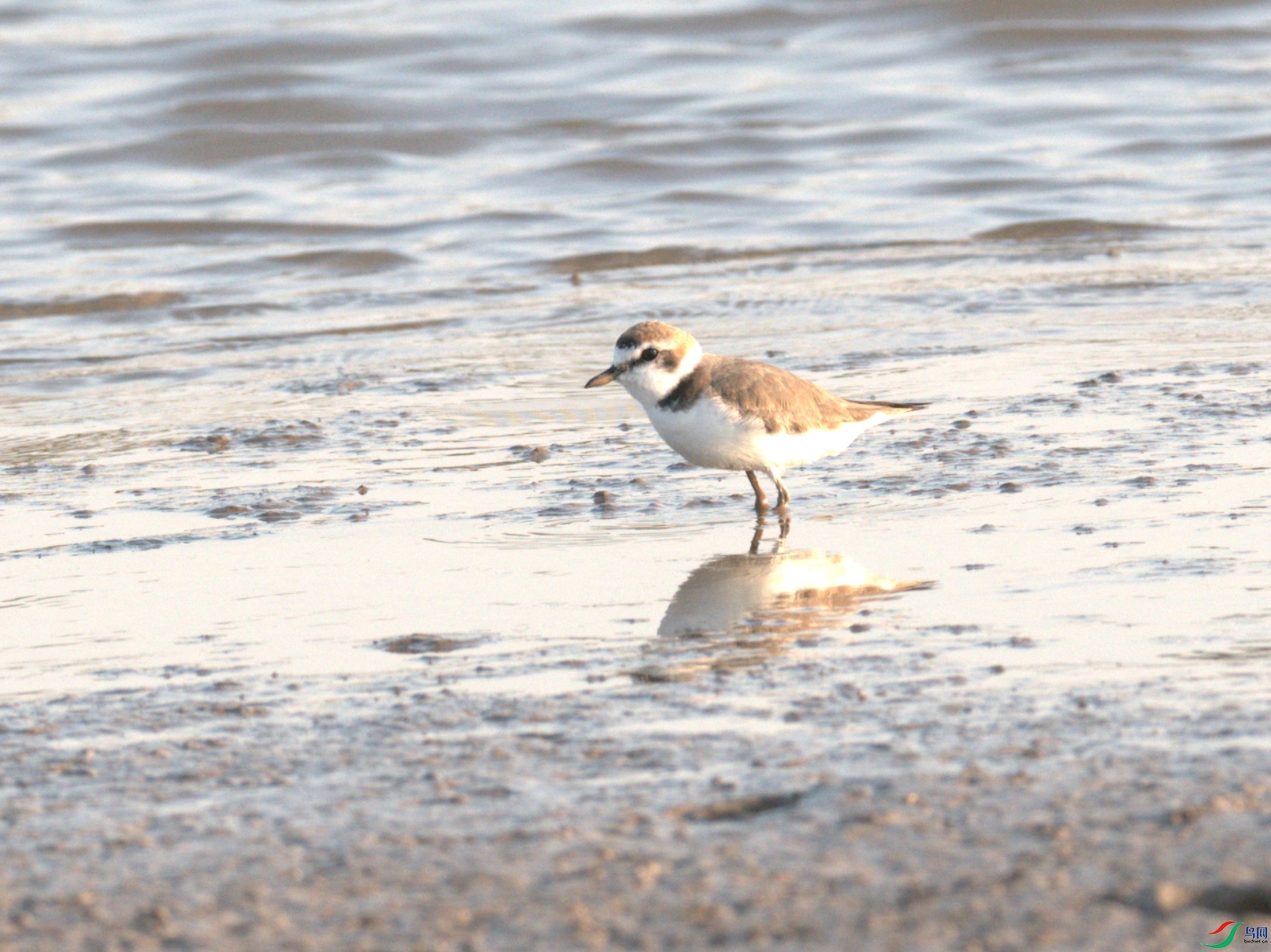 P3210088�����a (1).jpg