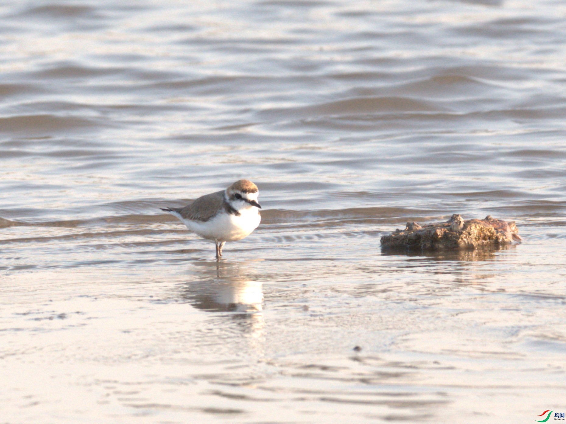 P3210077�����a (1).jpg