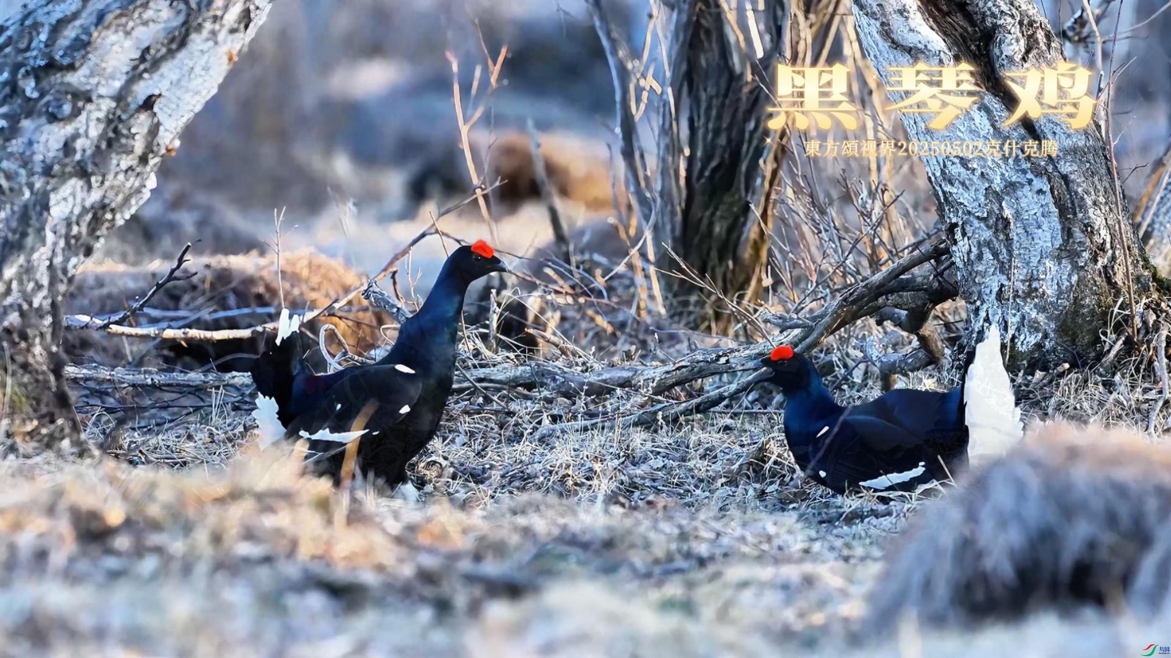 5��5�� (2)-����.jpg