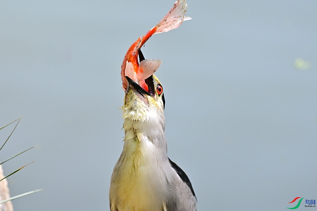 DSC_1284.JPG