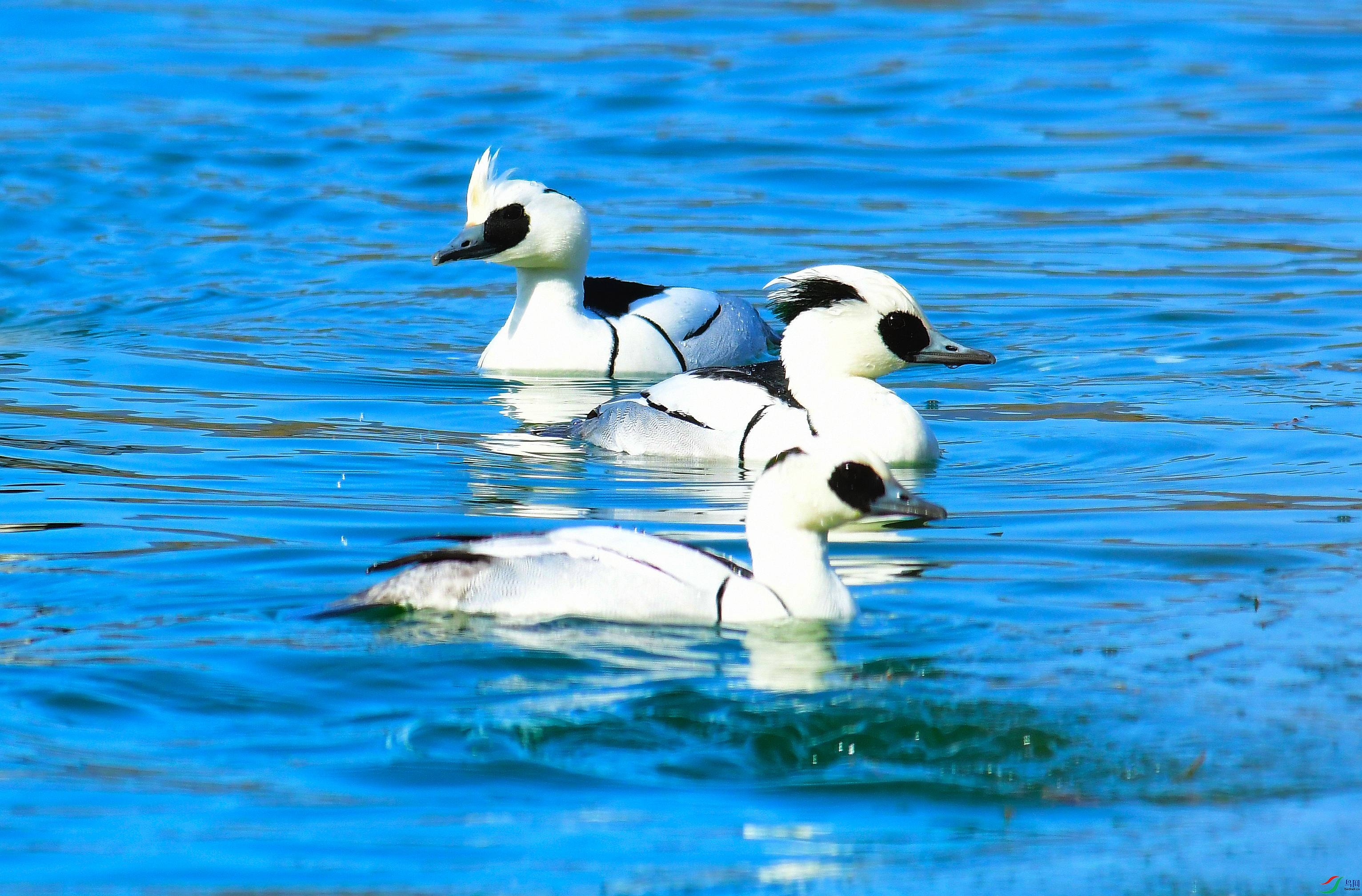 DSC_1107.JPG