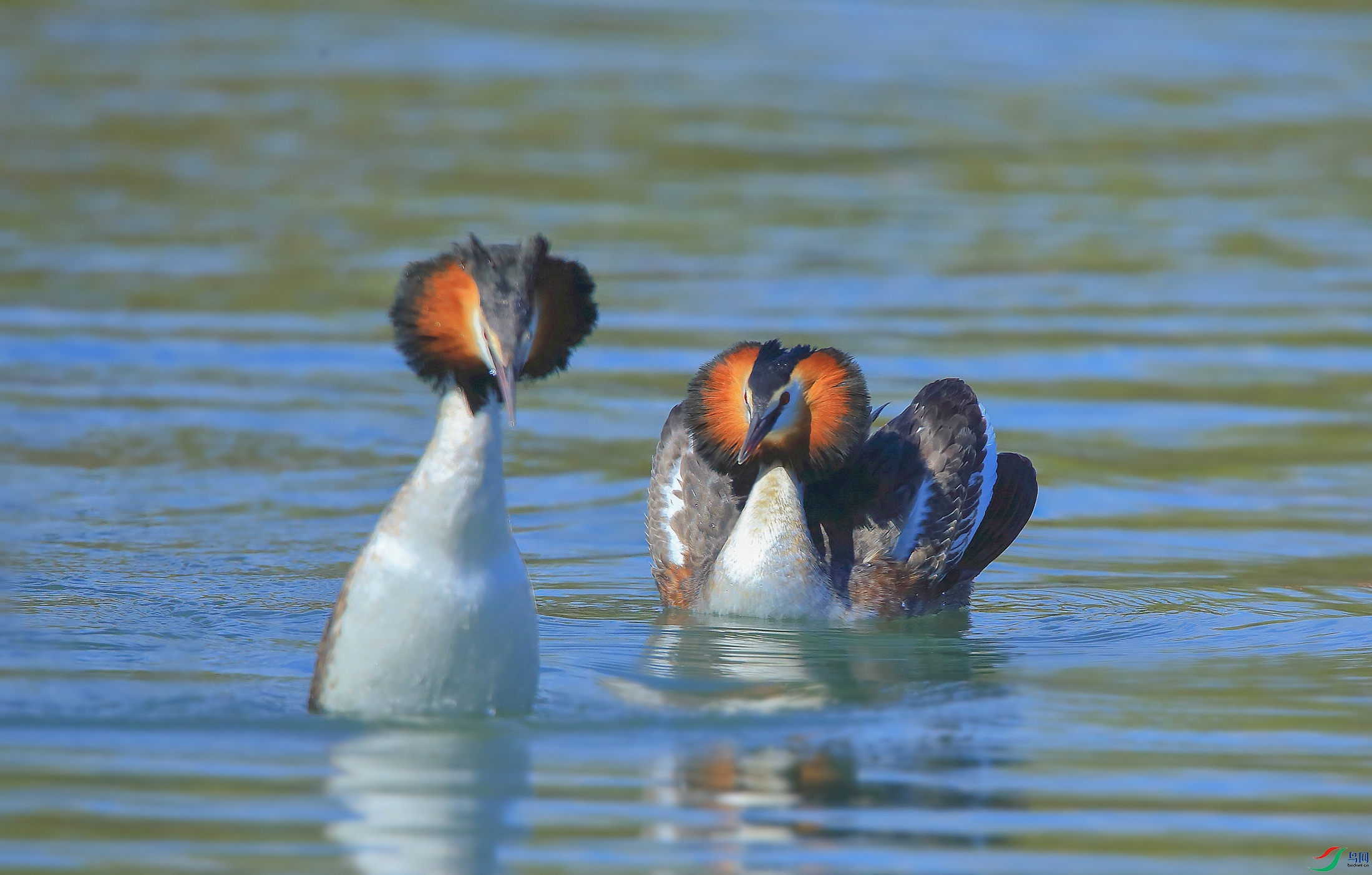 AM6Y0067_���� ����.jpg