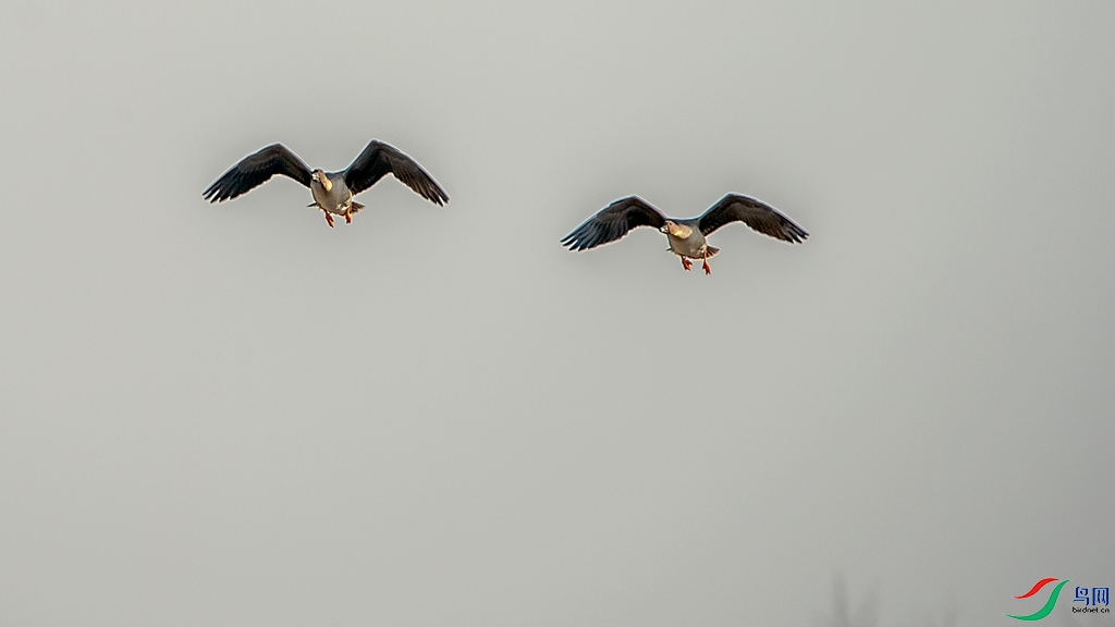 DSC_8026.jpg