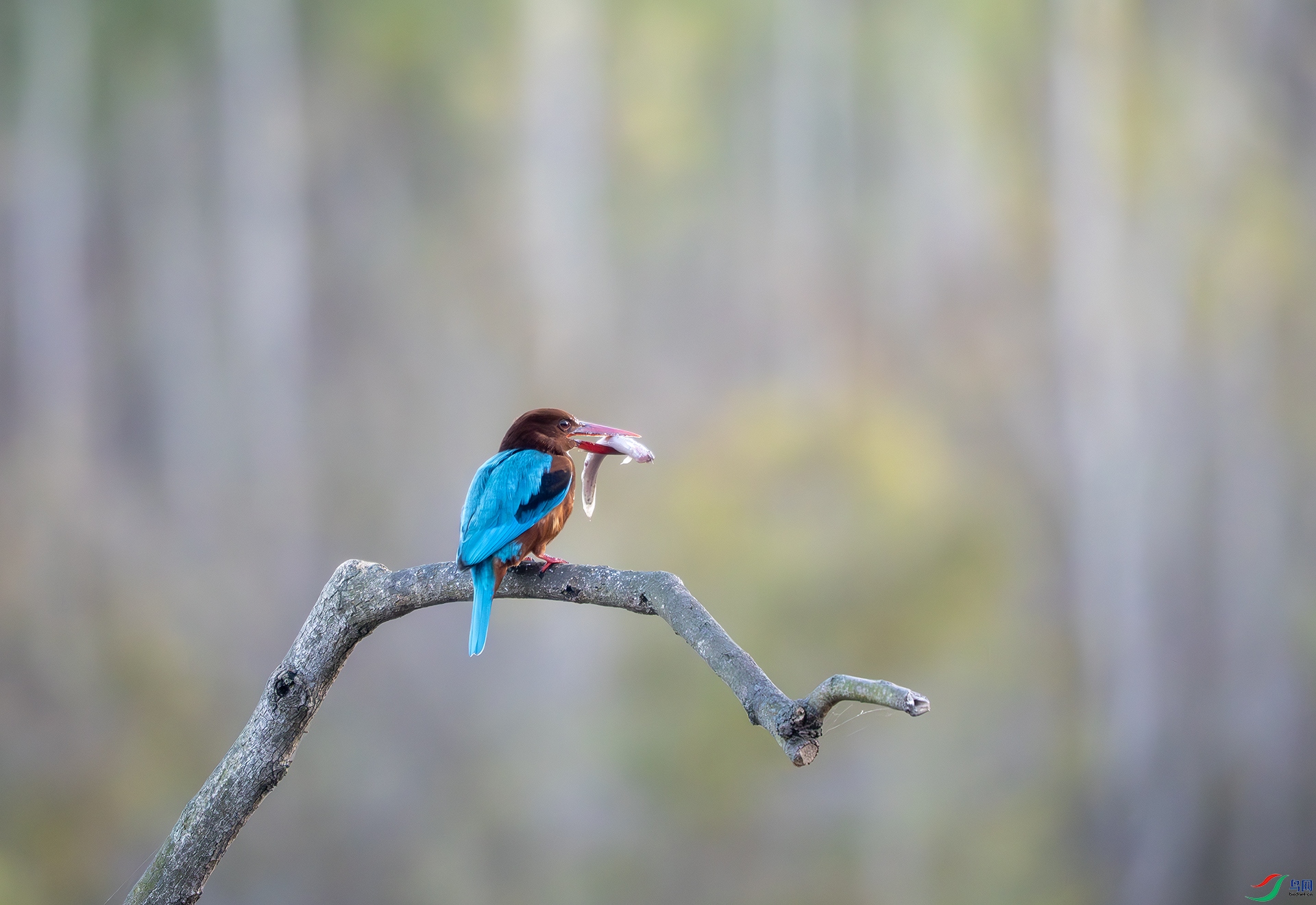 DSC07587-����ǿ-NR ����.jpg