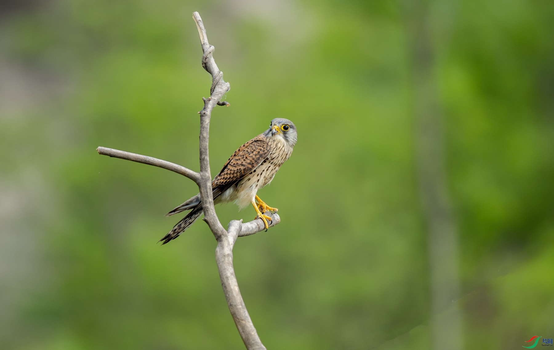 DSC_0720_����.jpg