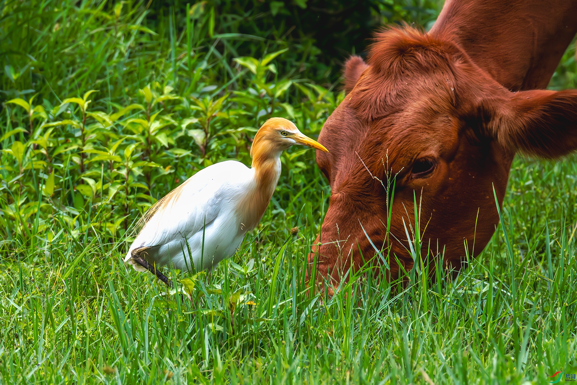 20250510ţ��������ţ ����.jpg