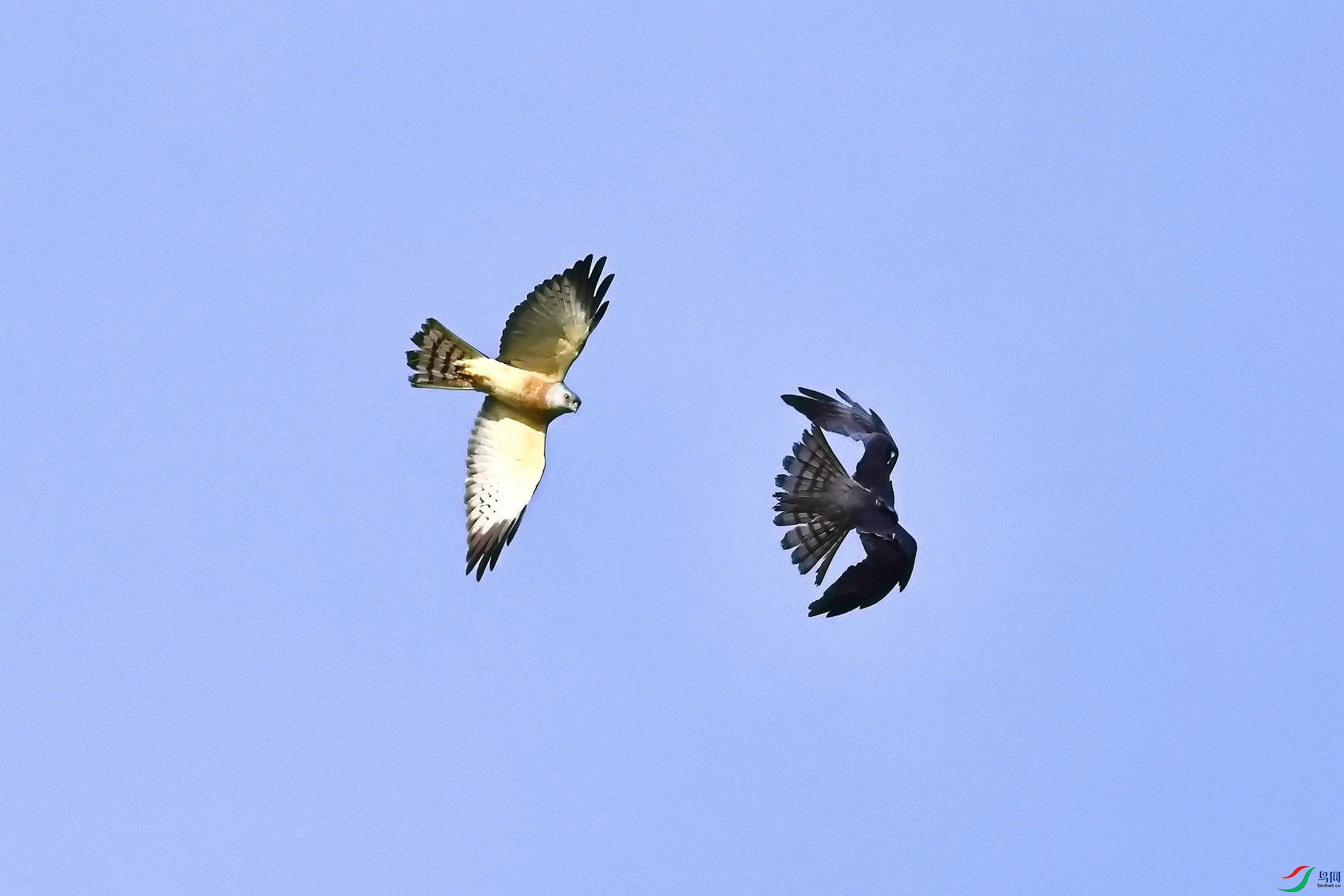 IMG_6499-1.JPG