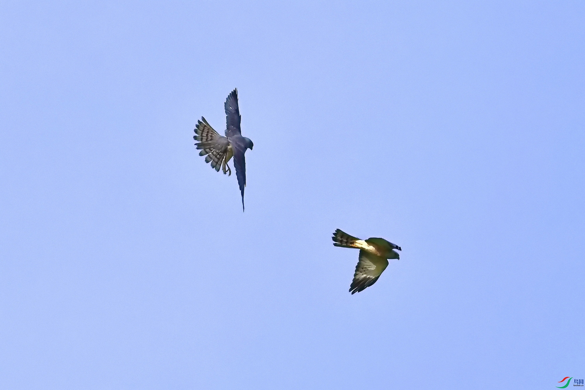 IMG_6501-1.JPG