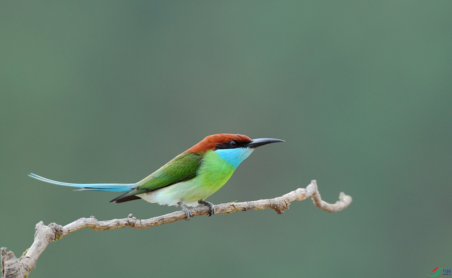 DSC_6421.jpg