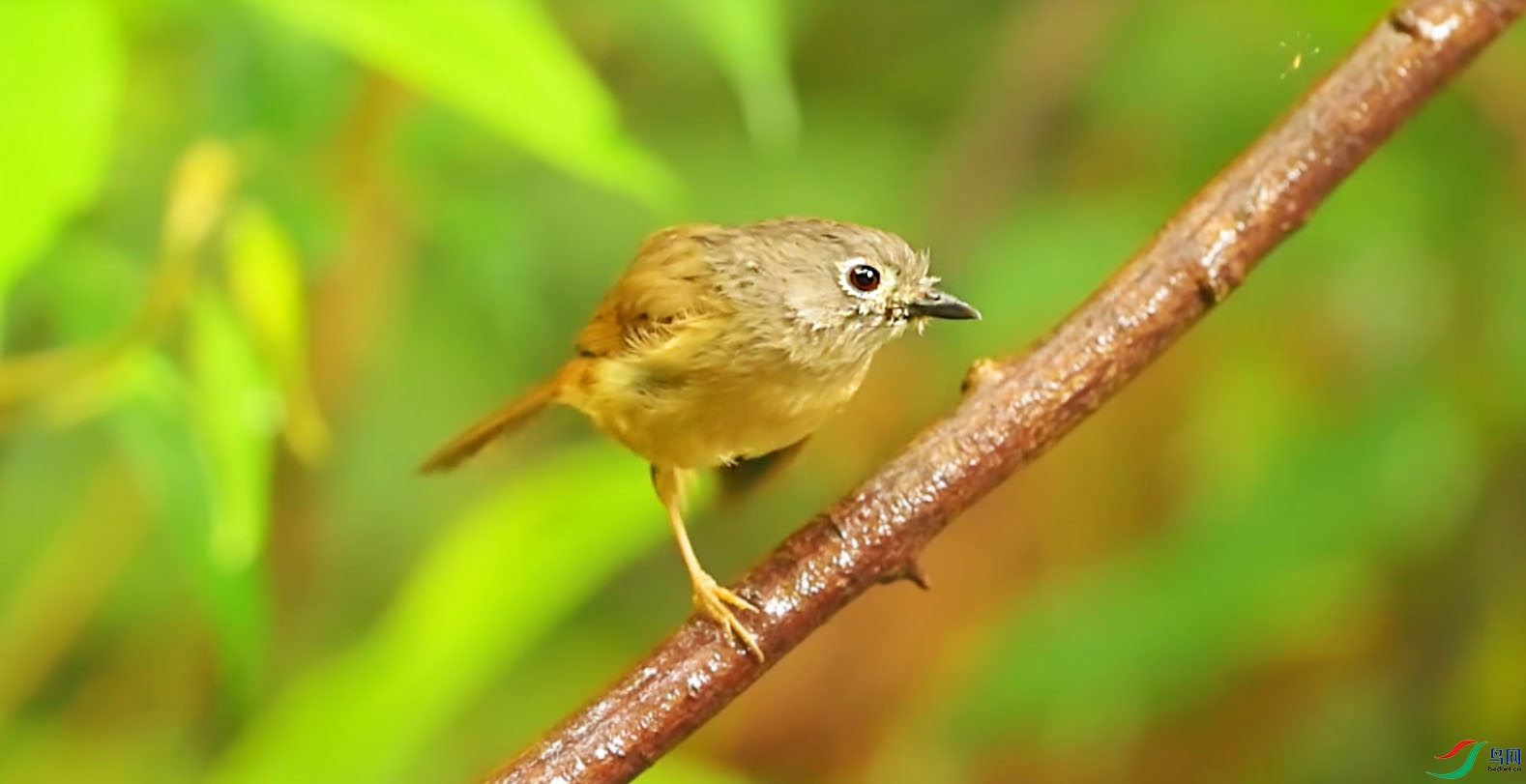 {F3FBBEC4-FB1B-461D-81EC-1C4D9D379F32} ����.jpg