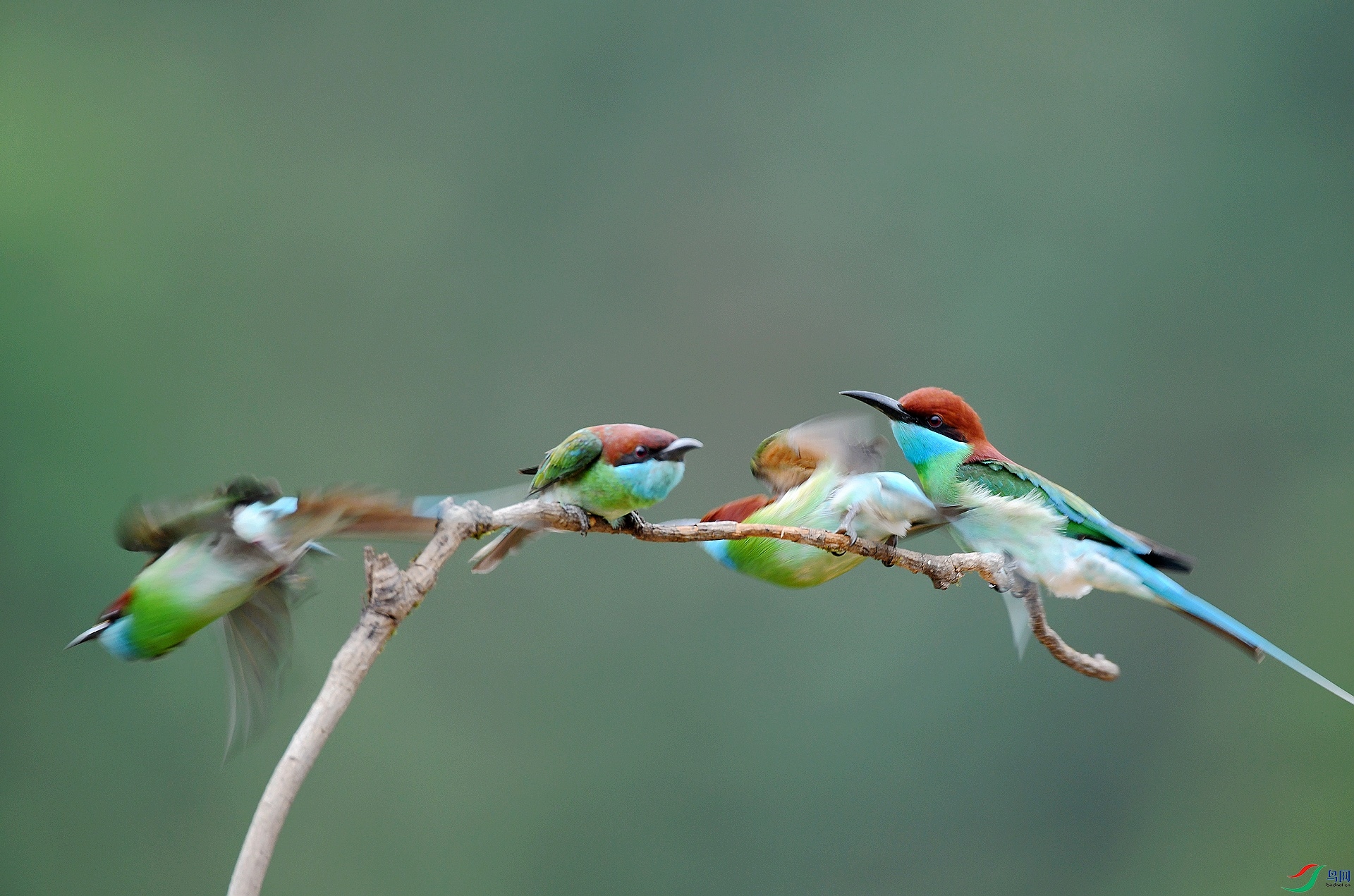 DSC_7285.jpg