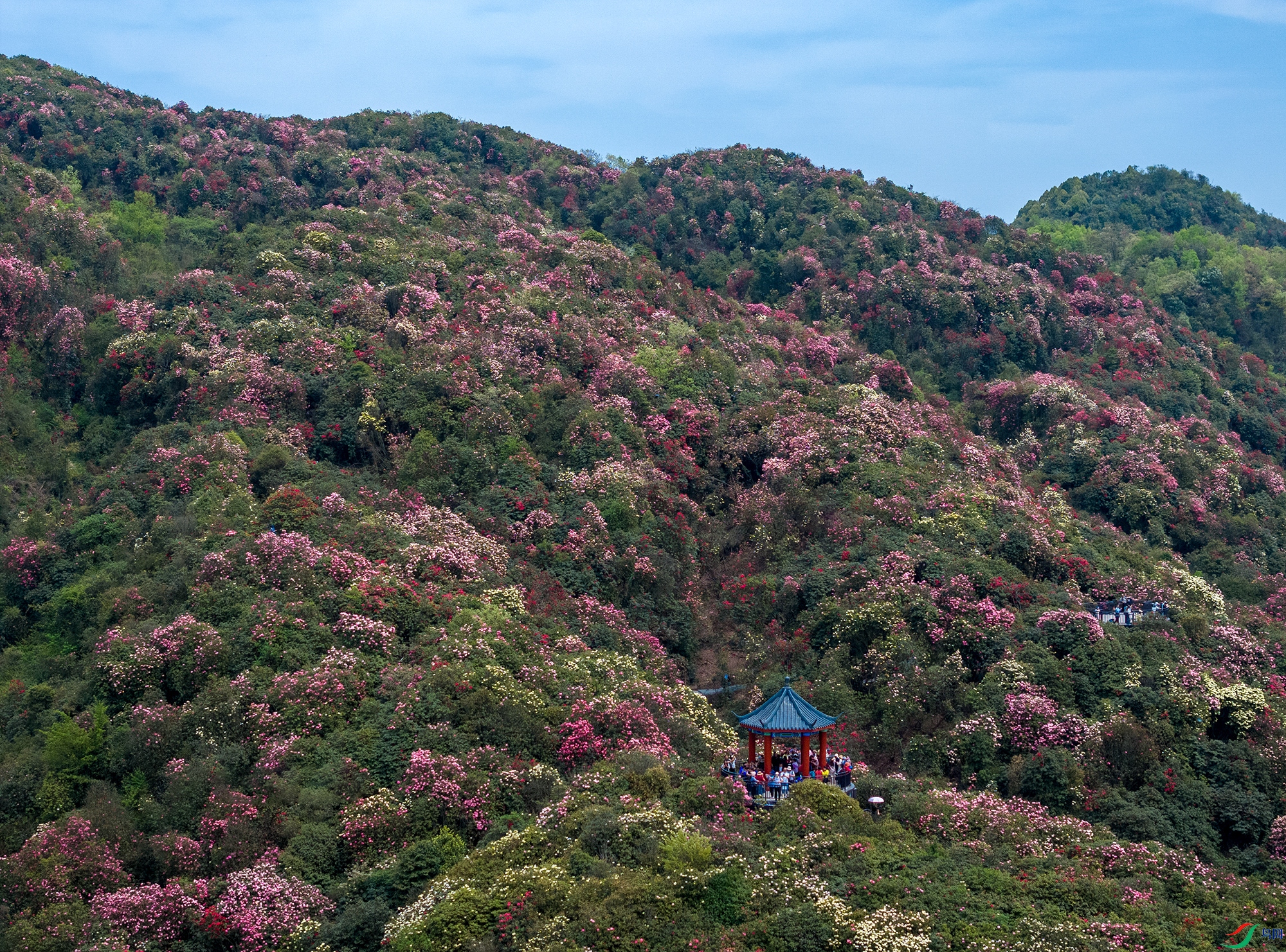 DJI_20250415131141_0026_D ����11 ����.jpg