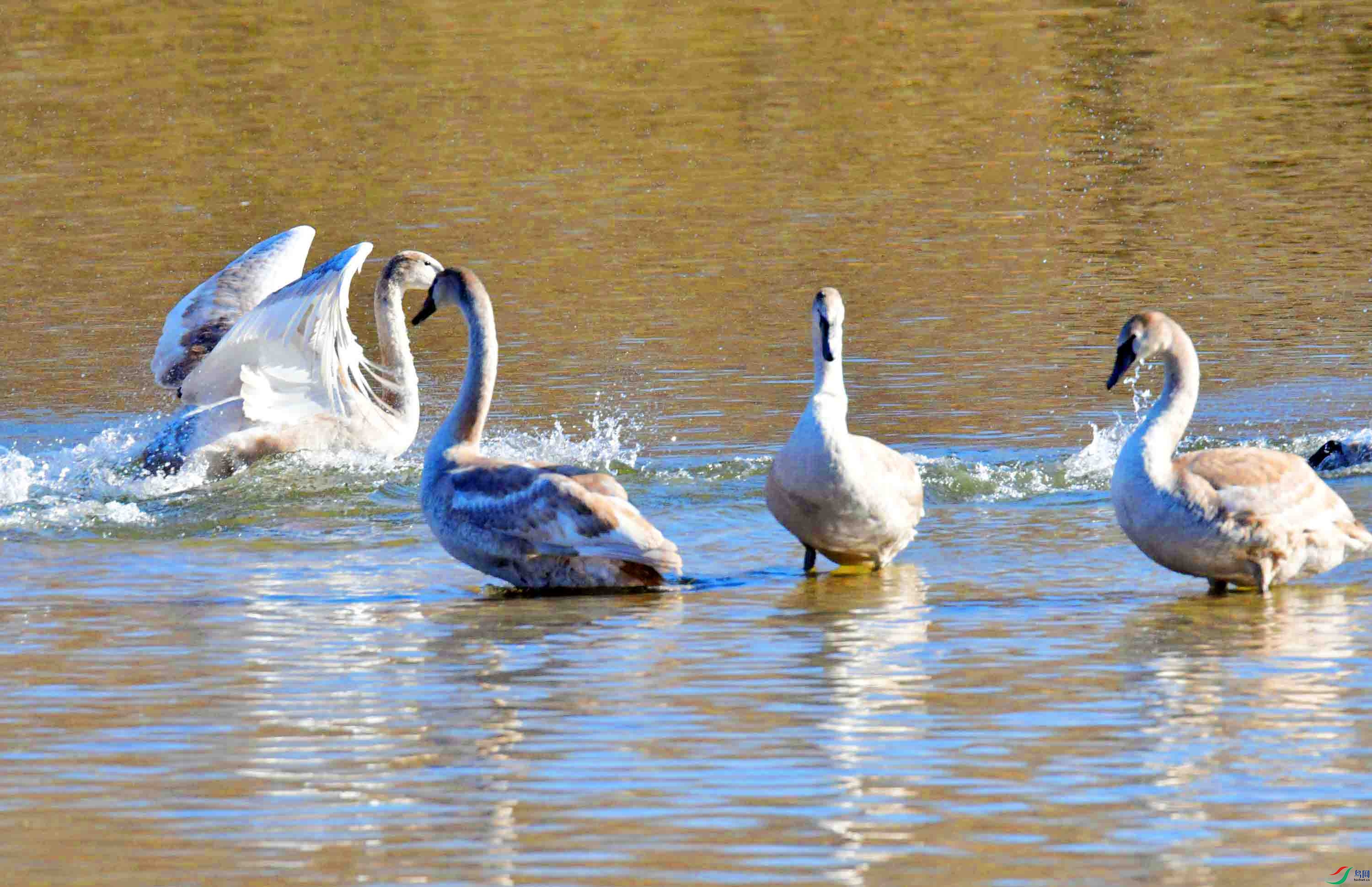 DSC_5446.JPG