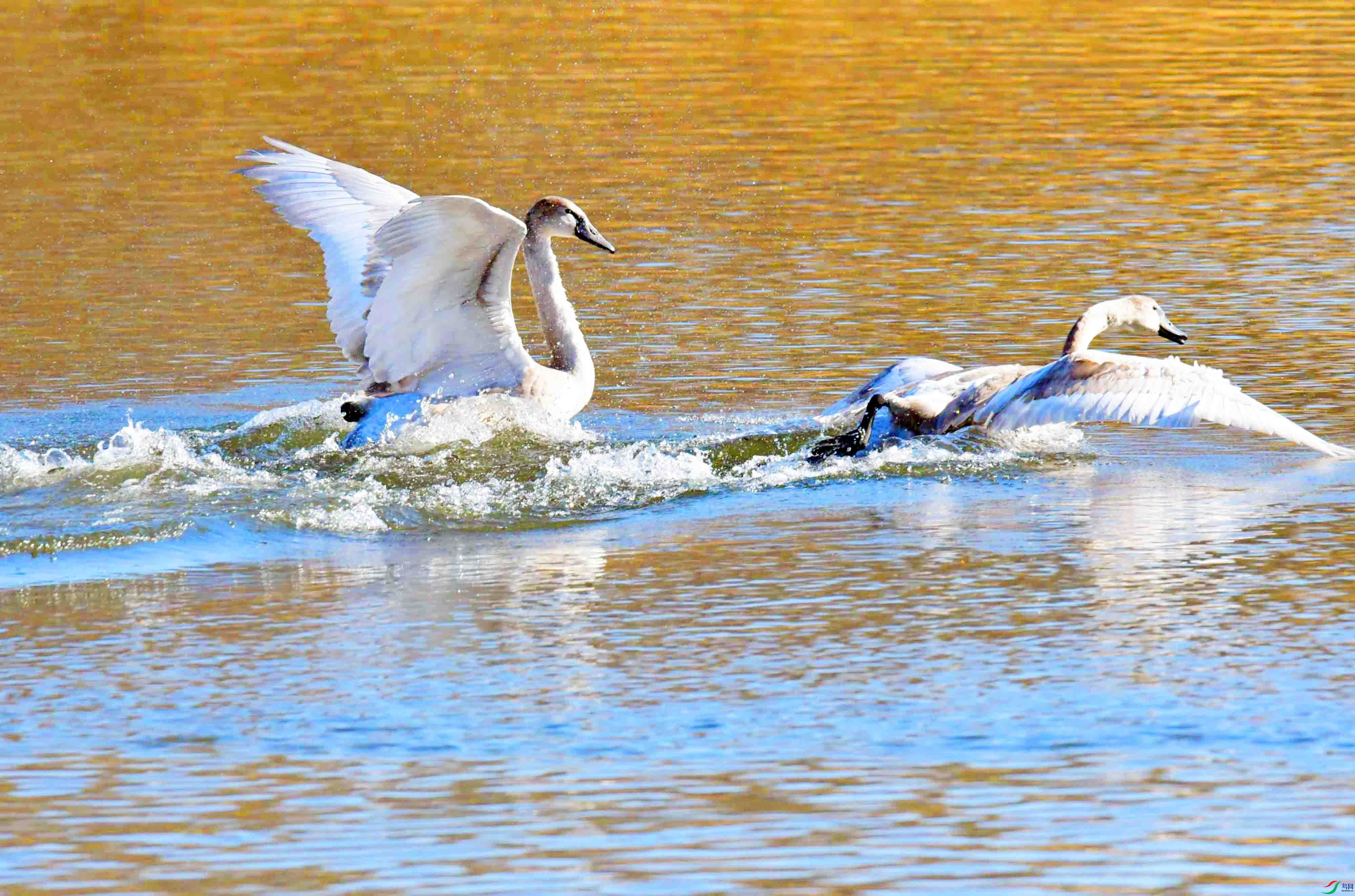 DSC_5451.JPG