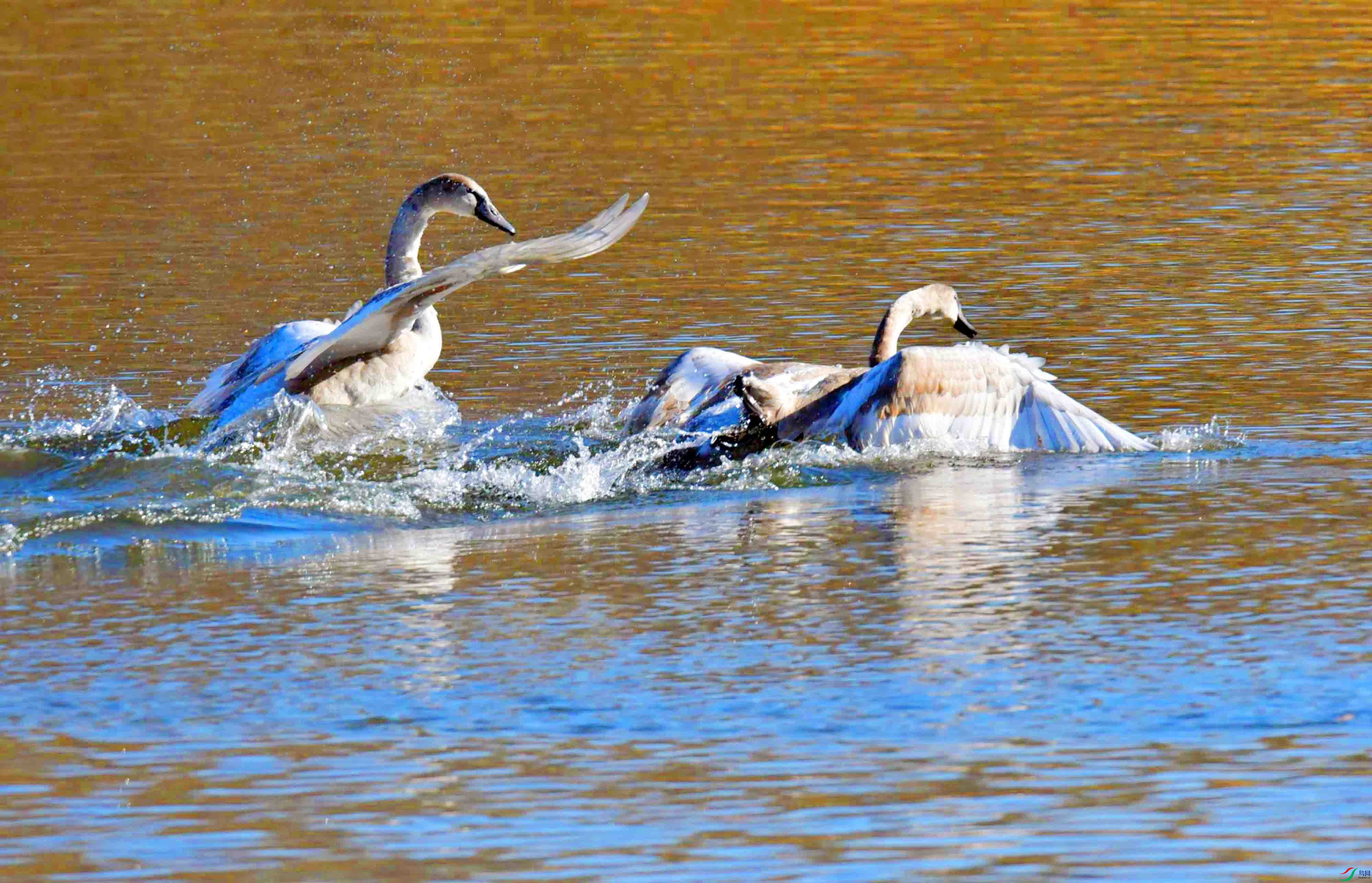 DSC_5450.JPG
