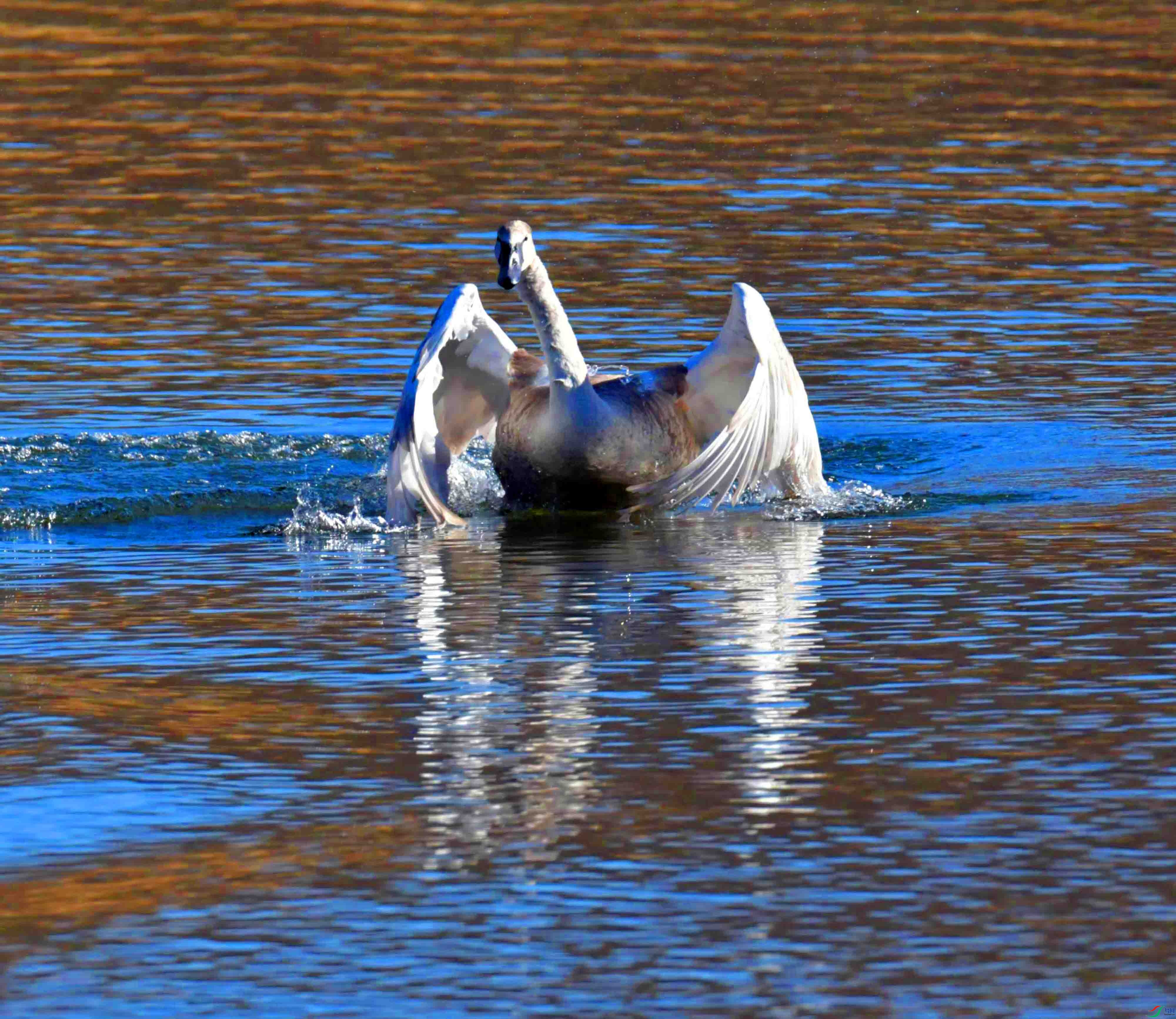 DSC_5459.JPG