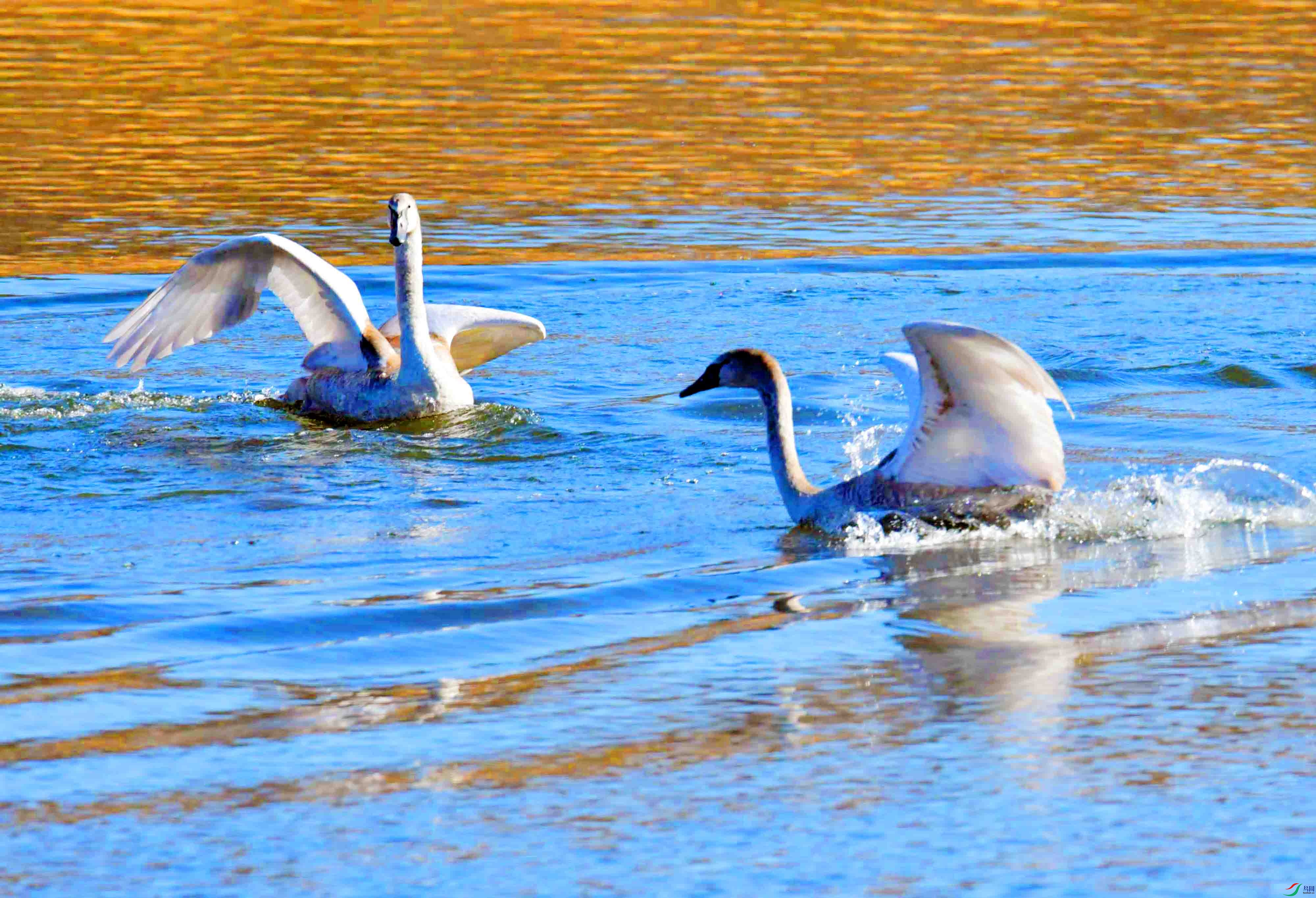 DSC_5468.JPG