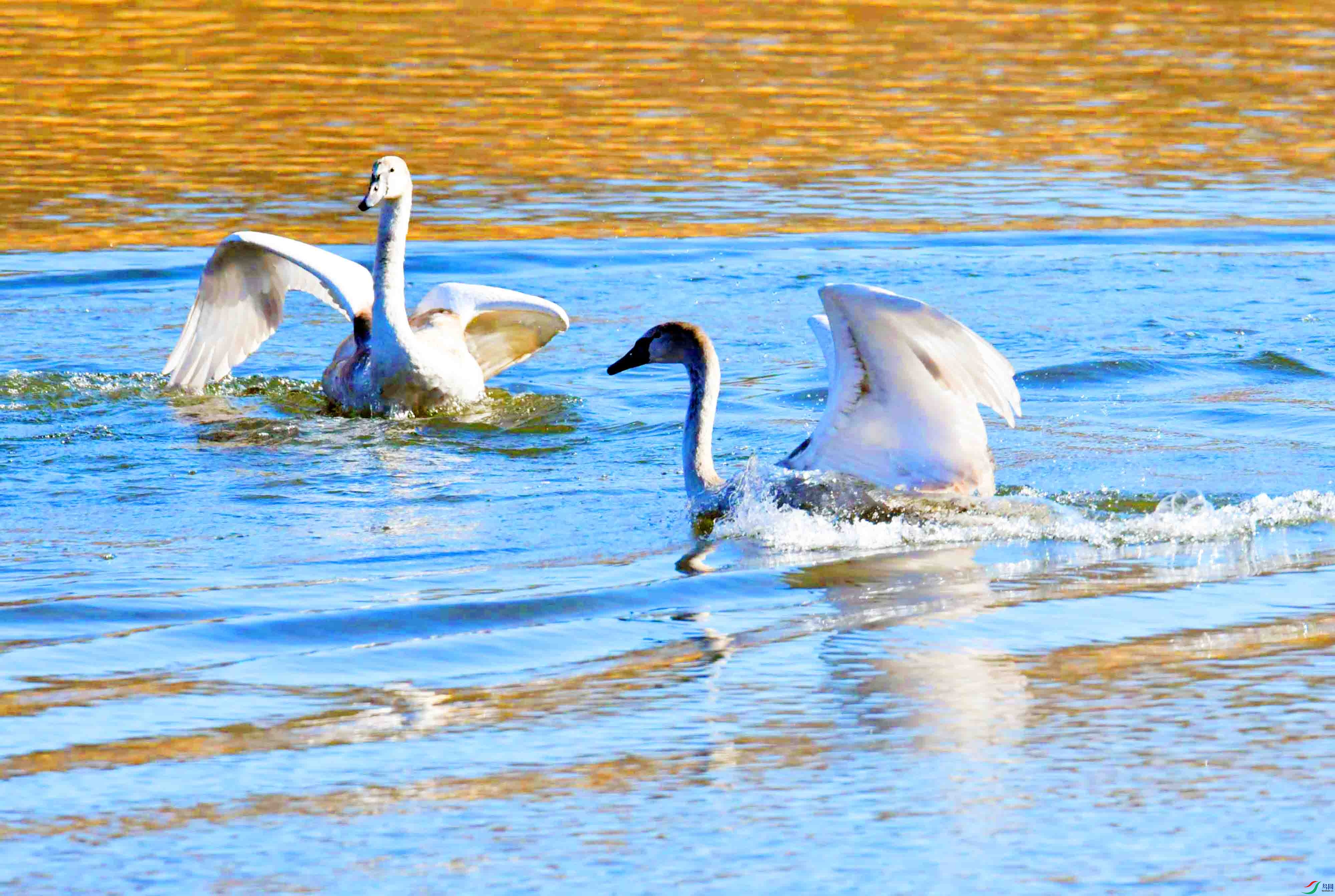 DSC_5469.JPG